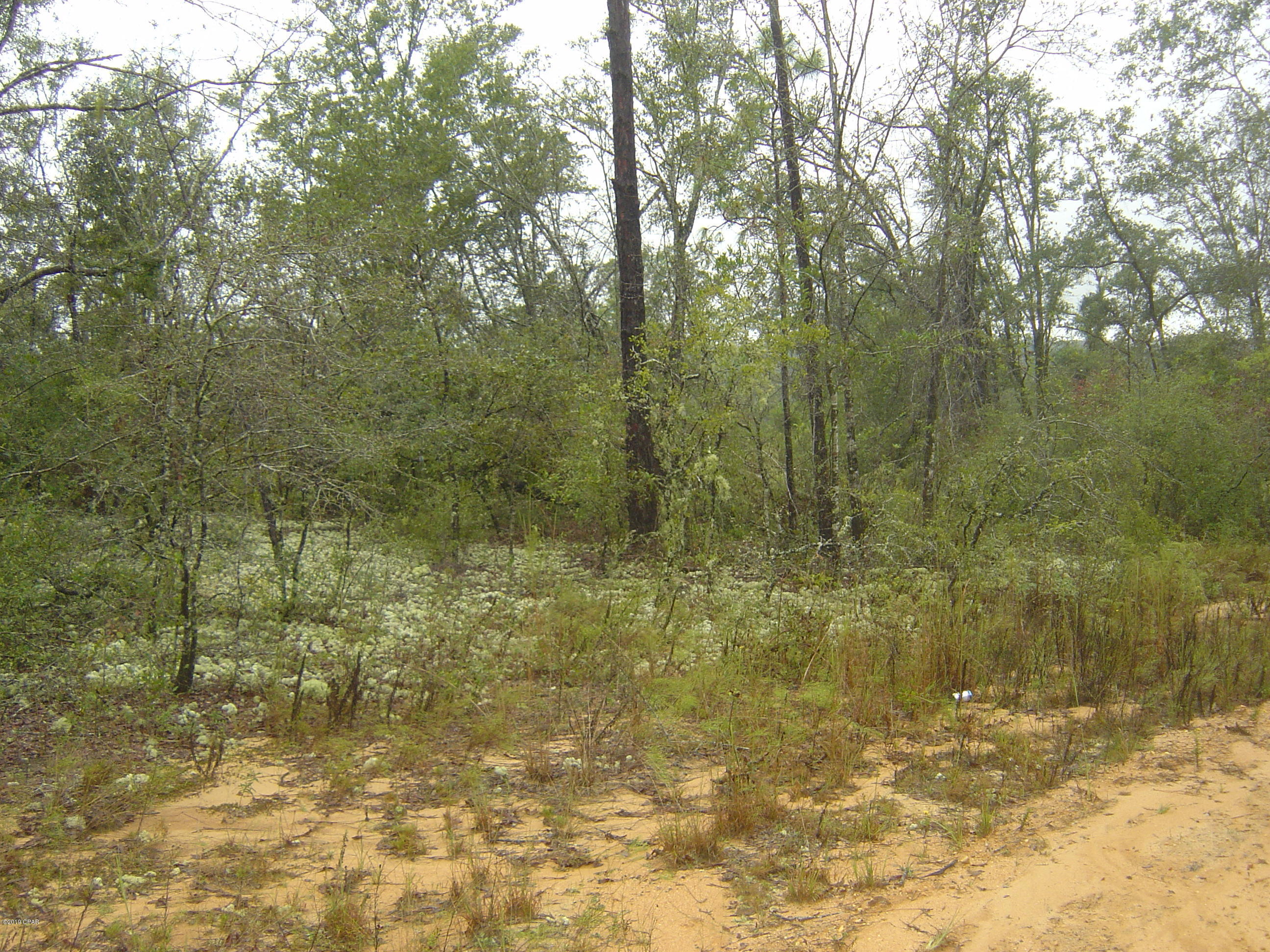 Compass Lake Hills Unit 3 - Land