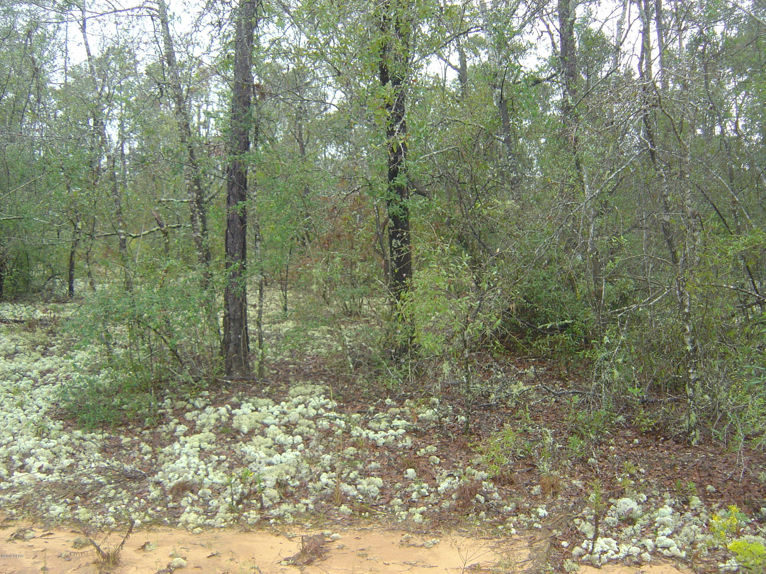 Compass Lake Hills Unit 3 - Land