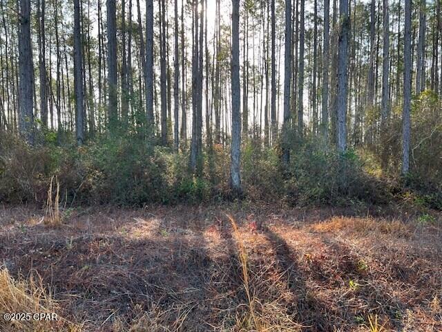 Chipola Landing - Land