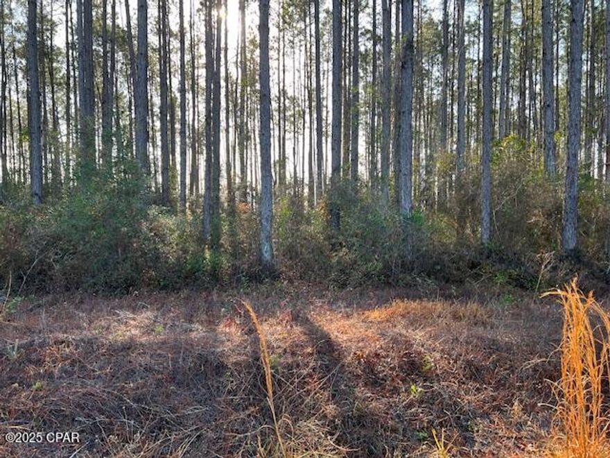 Looking for a place in the country and near the River in North Gulf County Florida. Lot 12 in Chipola Landing is a wooded .68 acre residential lot. Covenants & Restrictions apply with 1200 minimum SF. Located in Flood Zone 62%A & 38%X. Access to Chipola River nearby; as well as the Brothers and Apalachicola Rivers. Great location for the fishing enthusiast.