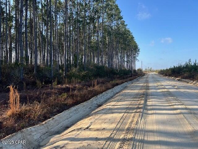 Chipola Landing - Land
