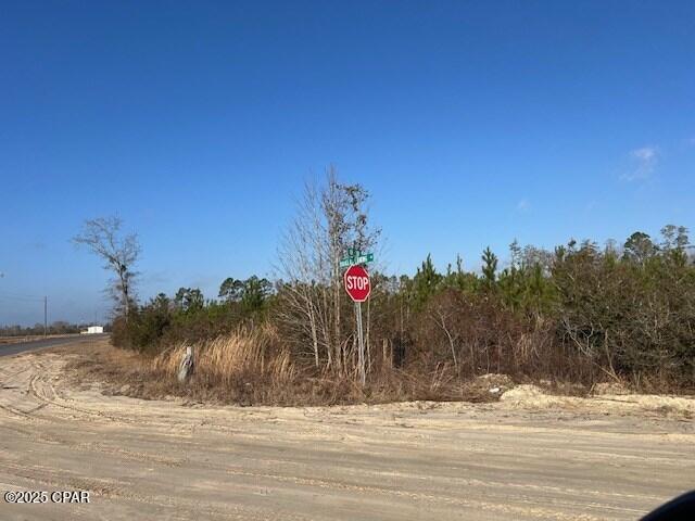 Chipola Landing - Land