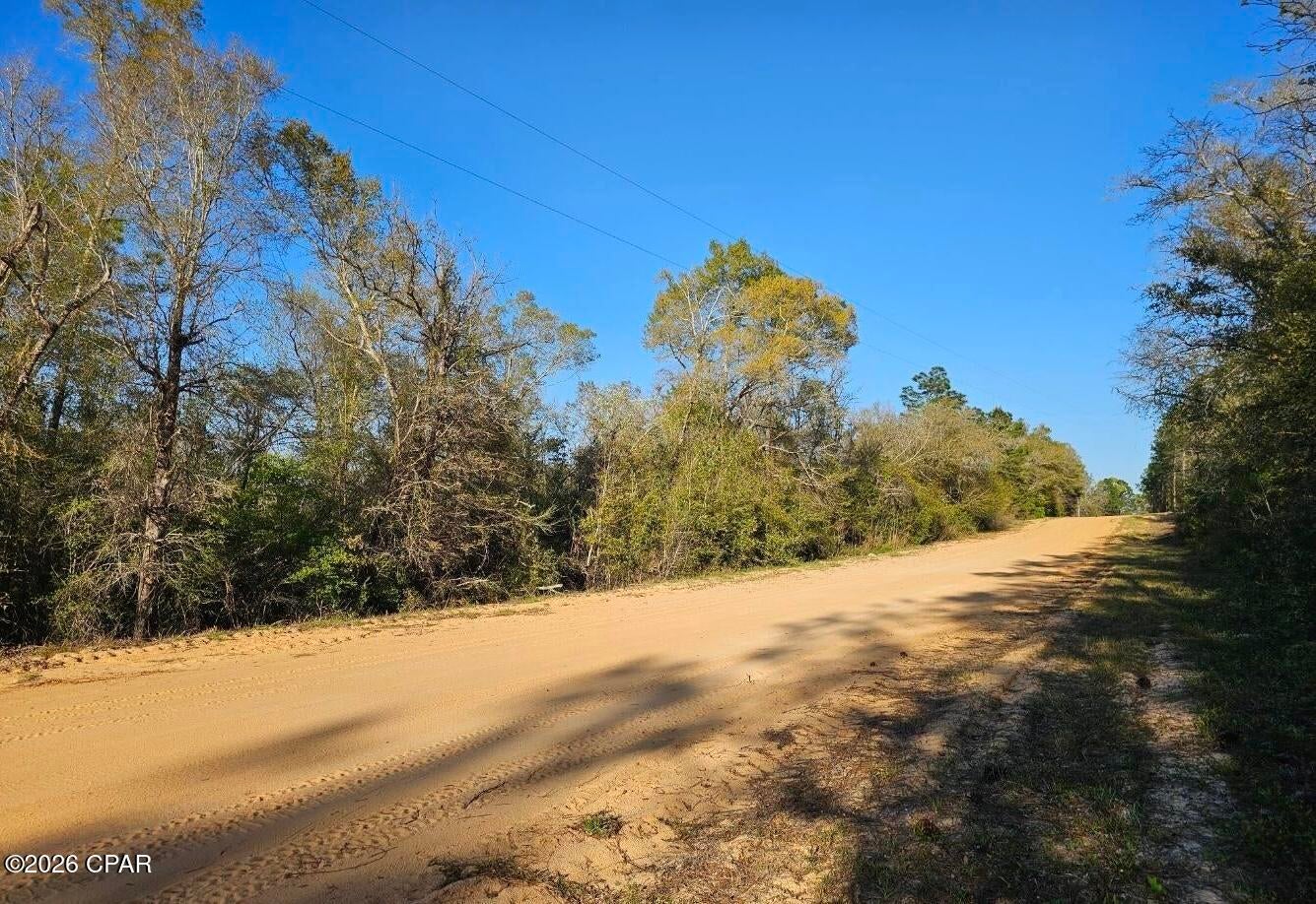 TBD Olivia Dr