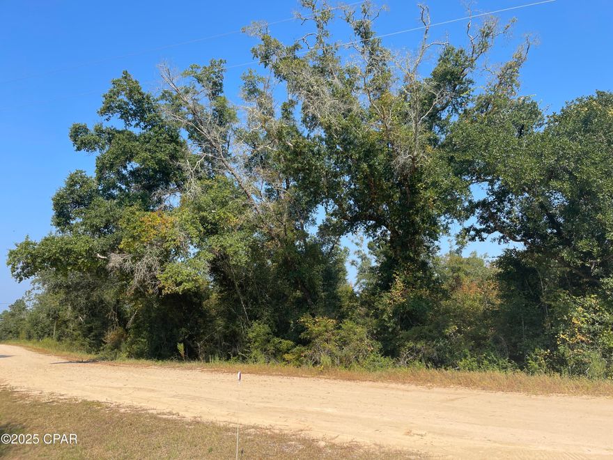 Price Reduced-$12,000.
Discover your slice of Florida paradise with this 1.2-acre lot in the desirable Compass Lake subdivision! Nestled in a community rich with amenities and outdoor adventure, this property offers the perfect setting for your dream home or weekend getaway.


Compass Lake residents enjoy a clubhouse with pool and a unique on-site German restaurant serving lunch and dinner. The community also features tennis courts, horse stalls, and even frisbee golf for endless fun. Outdoor enthusiasts will love having access to two beautiful lakes: McCormick Lake, a private lake exclusively for residents, and Compass Lake, the larger of the two, located near the clubhouse. Compass Lake is ideal for motorized boating, jet skis, kayaking, fishing, and more—with a boat dock for easy access. By the water, you'll also find a lively snack shack that hosts live music, making it a perfect place to relax after a day on the lake.

With plenty of room to build and so much to explore, this property blends privacy with community living. Don't miss your chance to own land in one of North Florida's most versatile recreational communities! 

Located within 7 miles of I-10, 30 minutes from Panama City, and 40 minutes to Dothan, AL. *power across the street.
