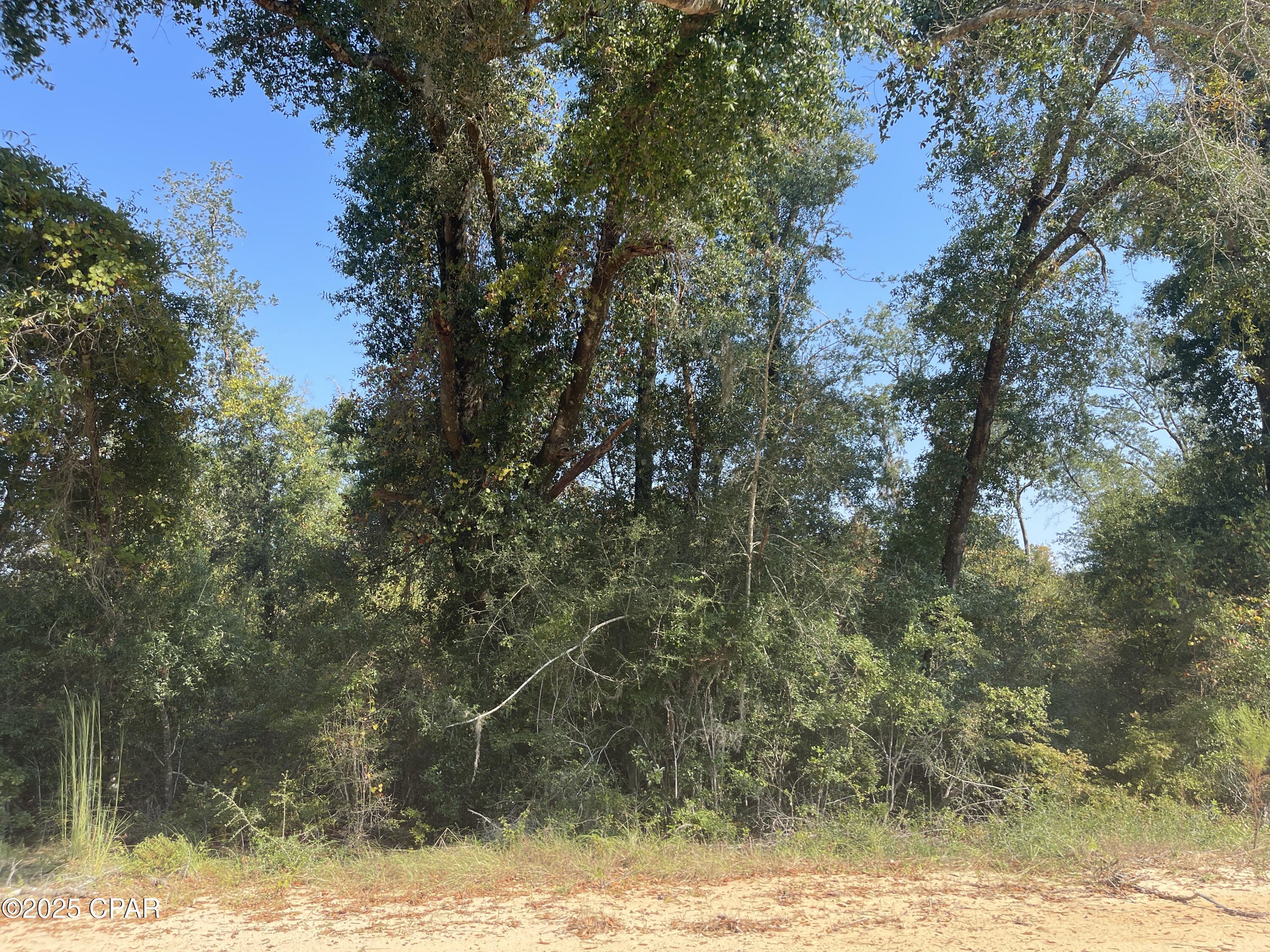 Compass Lake Hills Unit 5 - Land