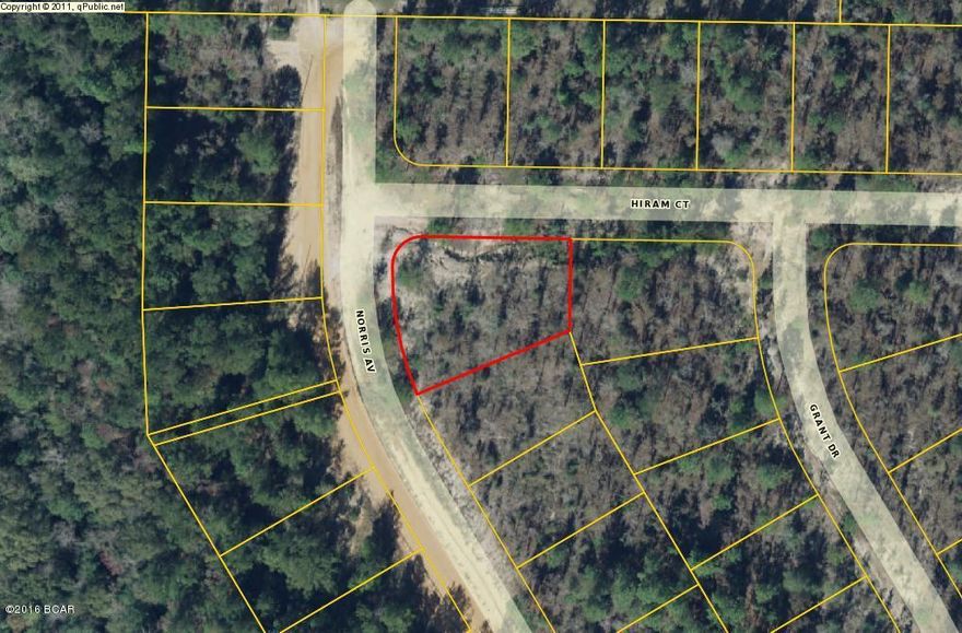Nice building lot in Sunny Hills. Lot is mostly wooded. Sunny Hills is a deed restricted subdivision for homes only, no mobile homes. Not far from golf course, Boat Lake and fishing.  Approx 30 miles from Panama City Beach, Pier Park shopping and NW Florida Beaches International Airport. Seller also owns 7 other lots in Sunny Hills and will sell all 8 for $20,000.
