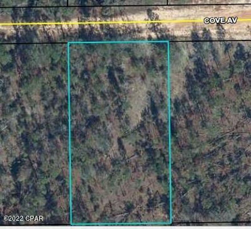 A large wooded lot at Compass Lake on the Hills. Did you know that owning property in Compass Lake provides you access to several amenities like a pool, driving range, kayaking, private boat ramp, paddle boarding, fishing, swimming, horseback riding and much more? There are several lakes/ponds in this community with great fishing and swimming. With just a little bit of land clearing, this property can be a dream homestead site. 

This owner has 17 other properties for sale in Compass Lakes. Make an offer on the other properties and get them as a package deal!