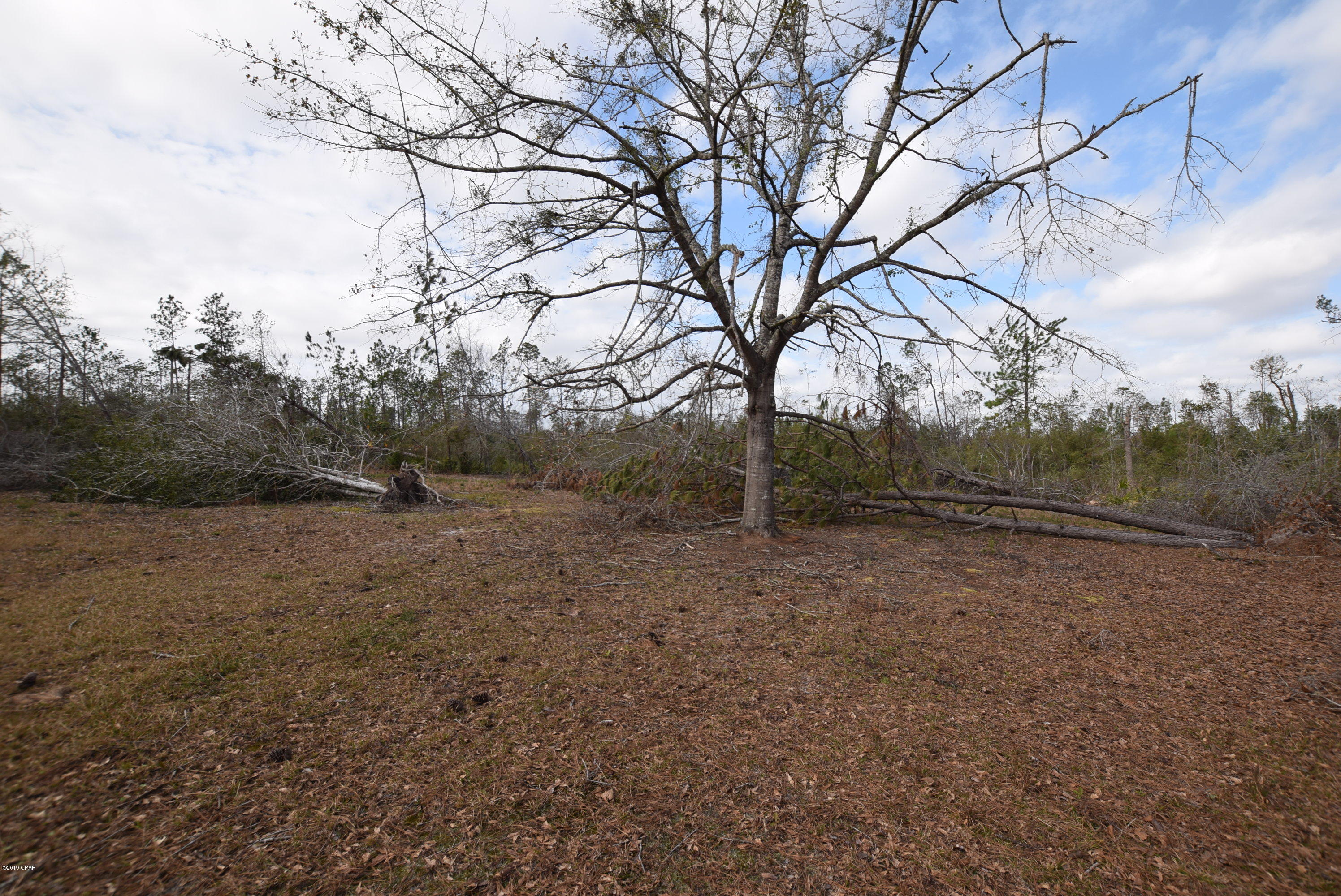 Greenhills West - Residential