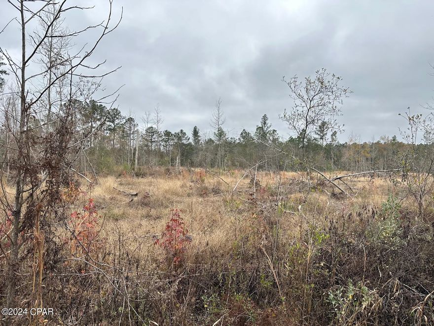 Dream Location for Country Living or Hunters Paradise either way you won't want to miss this opportunity! This Beautiful 13.29+/- Acres of prime land has so much to offer. Dirt rd on Chance about a half of mile from hwy 90 and only 5 miles to Chipley. Bring your build plans, hunting gear, Horses and ATVS LOCATION LOCATION!!!! This Property has Easy Access to I-10, Hwy 90, Hwy 77.DEED RESTRICTIONS. SEE DOCUMENTS