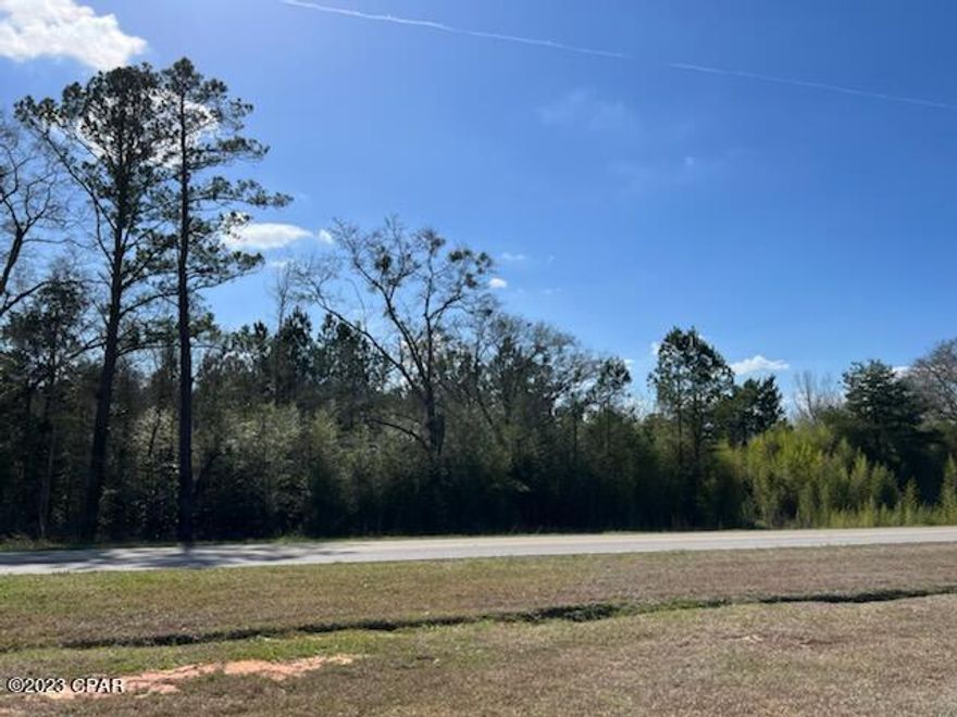 If you want to get outside of the fast city, this is the spot for you. This property is just over 23 acres with plenty of room to build your dream home or maybe turn it into a hunting camp. The owner claims to have many deer around the property and also an artesian well that has been capped off. This location is an hour from Panama City Beach and just a few miles from the Alabama line. Don't miss out on this beautiful land. Call today to see this property.