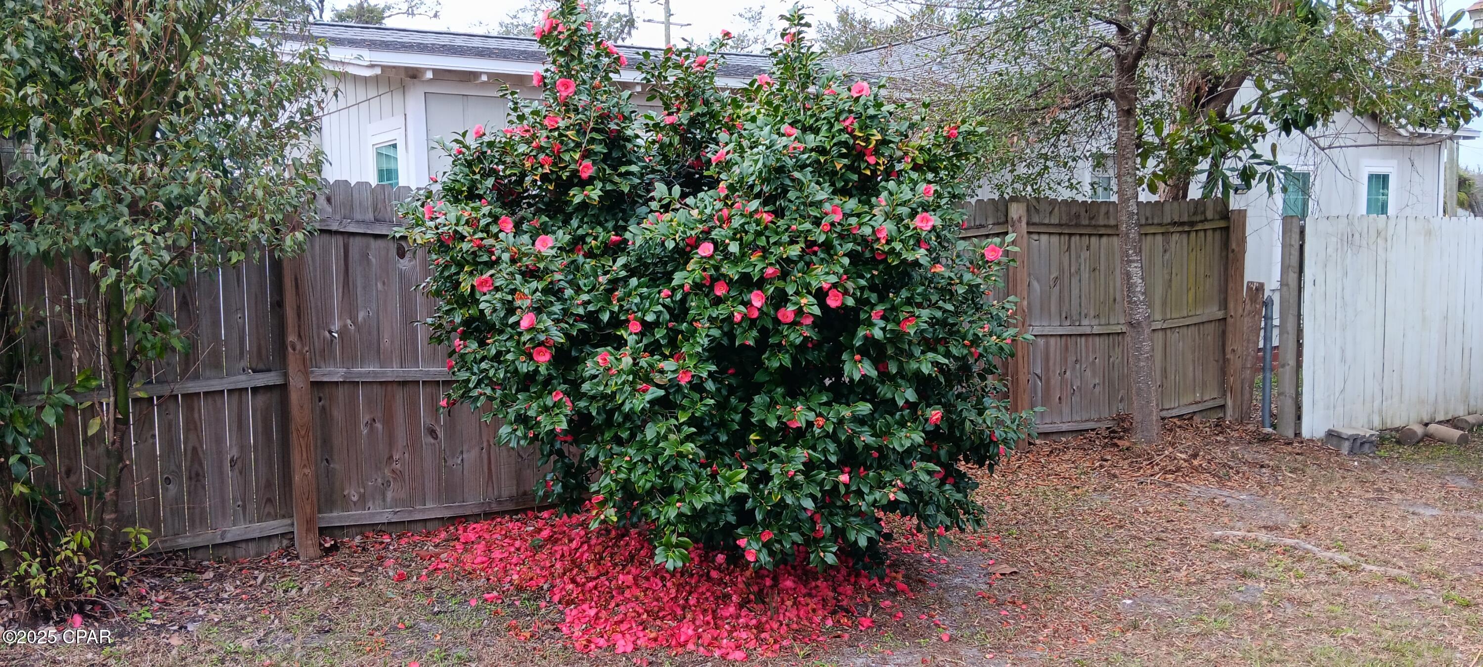 Sudduths 1st Add - Residential