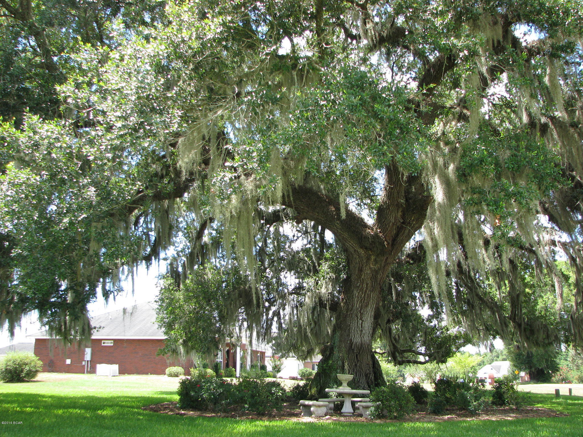 Spring Chase - Residential
