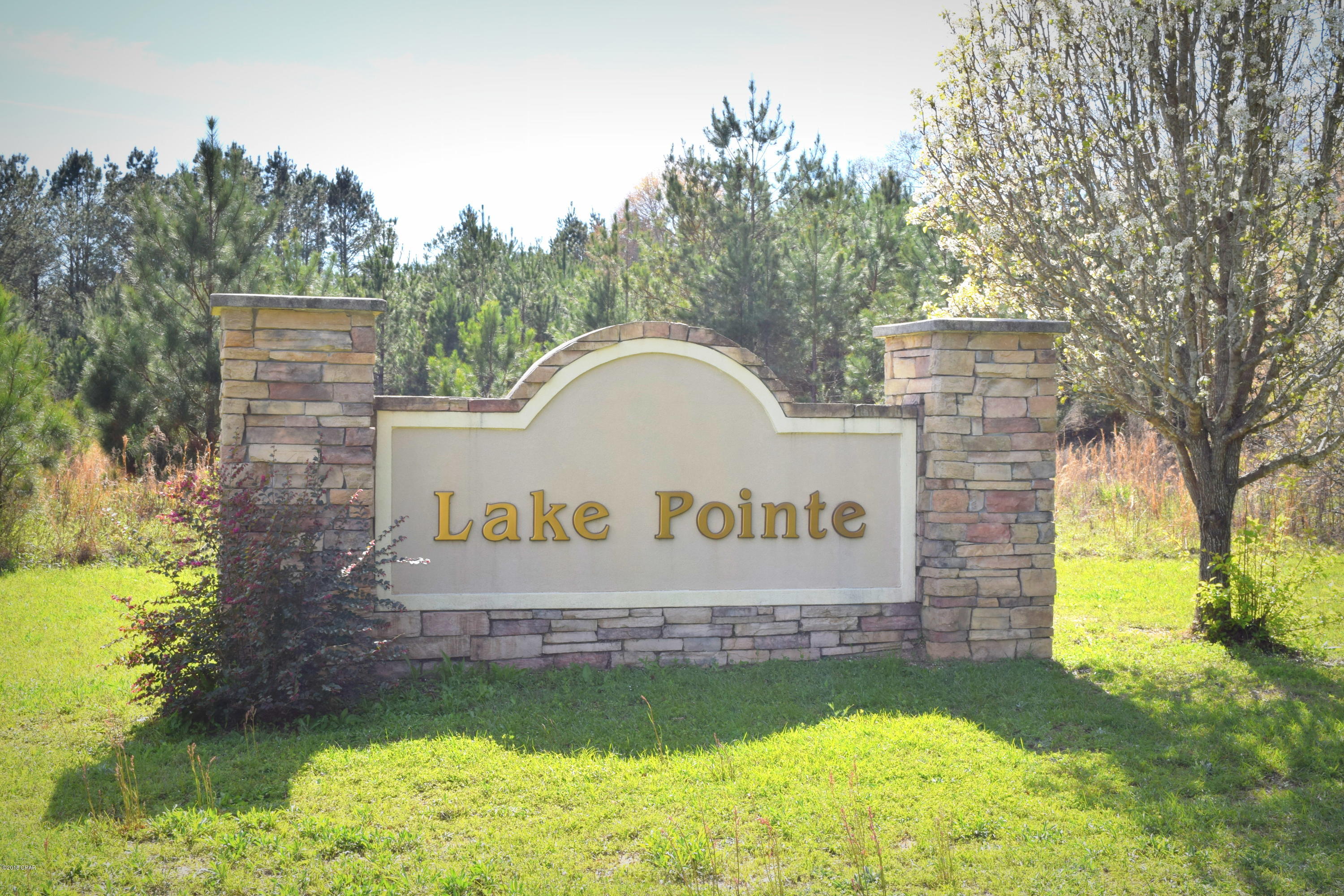 Lake Pointe - Residential