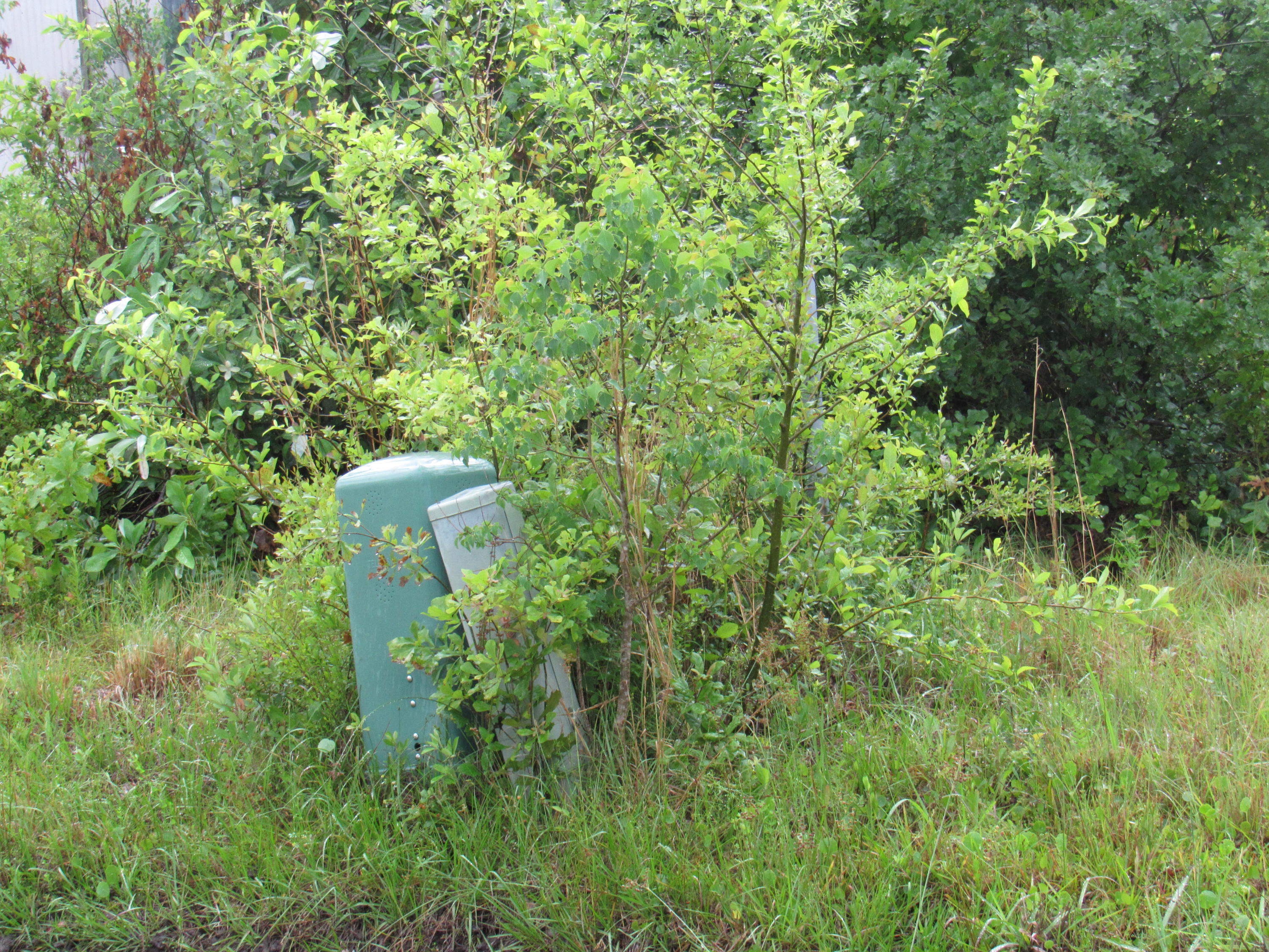 Basswood Estates - Land