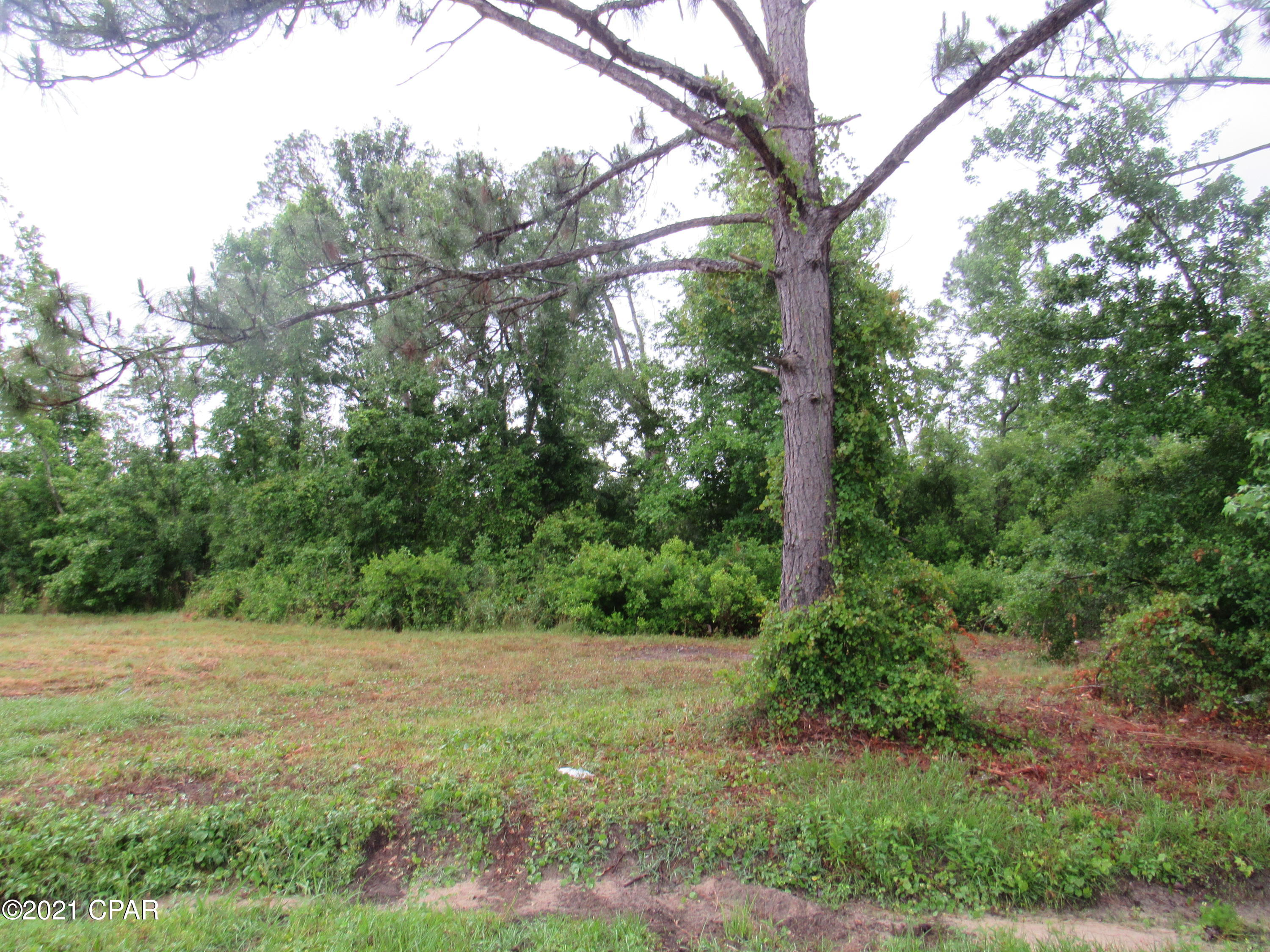 Basswood Estates - Land