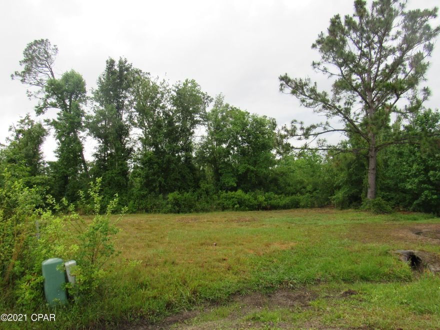 Nice building lot in Southport; just a short ride into the Panama City or to the beach!

Not far from the schools.  Suitable for

house or mobile.  Electric is available at road.  Verify condition with appropriate utility sources. Need more room in this beautiful countryside?   There are two 

adjoining lots .  Buy all three..  Call for details.  Owner states they back up tp a small  creek!  Please verify all information.