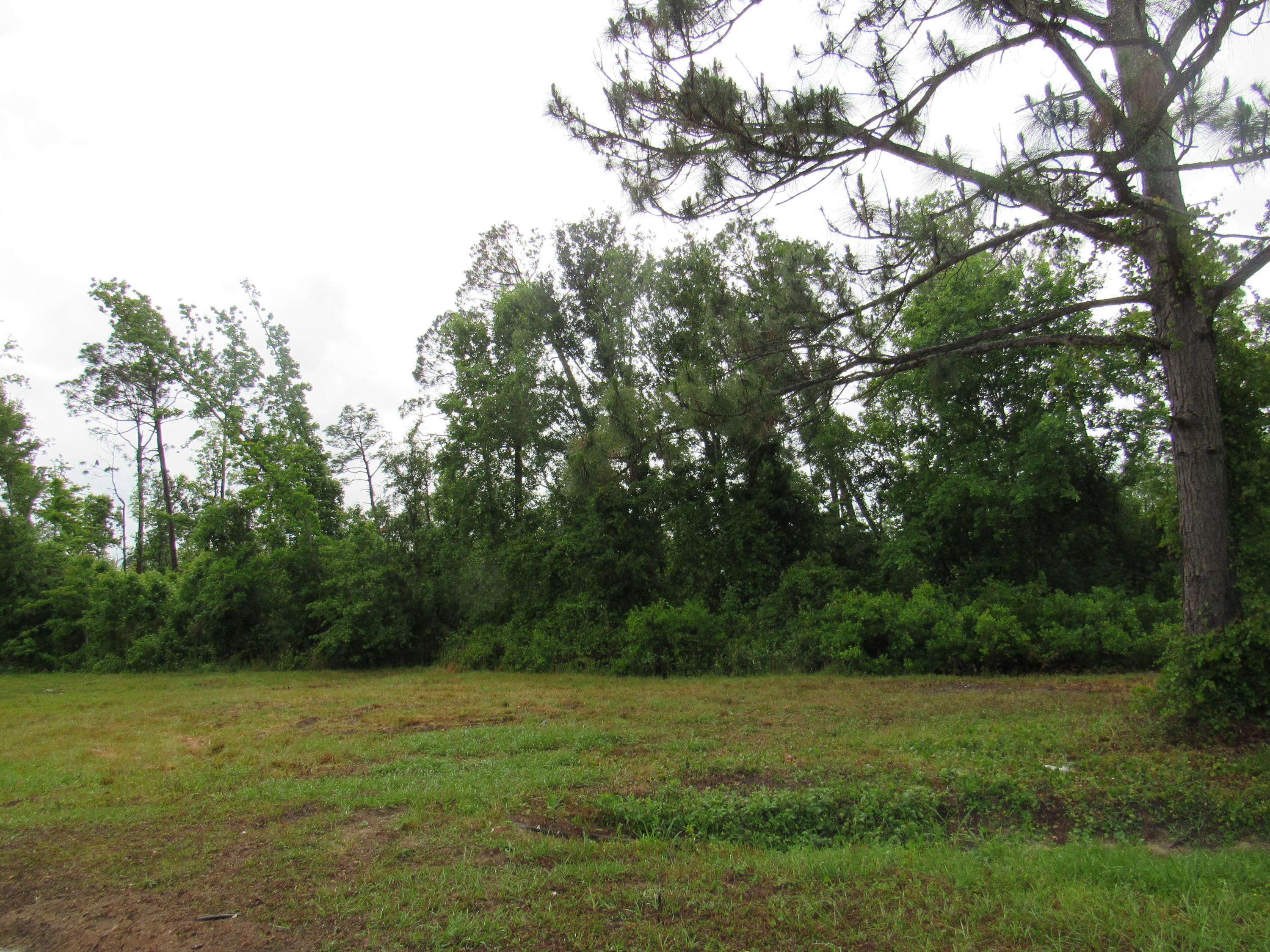 Basswood Estates - Land