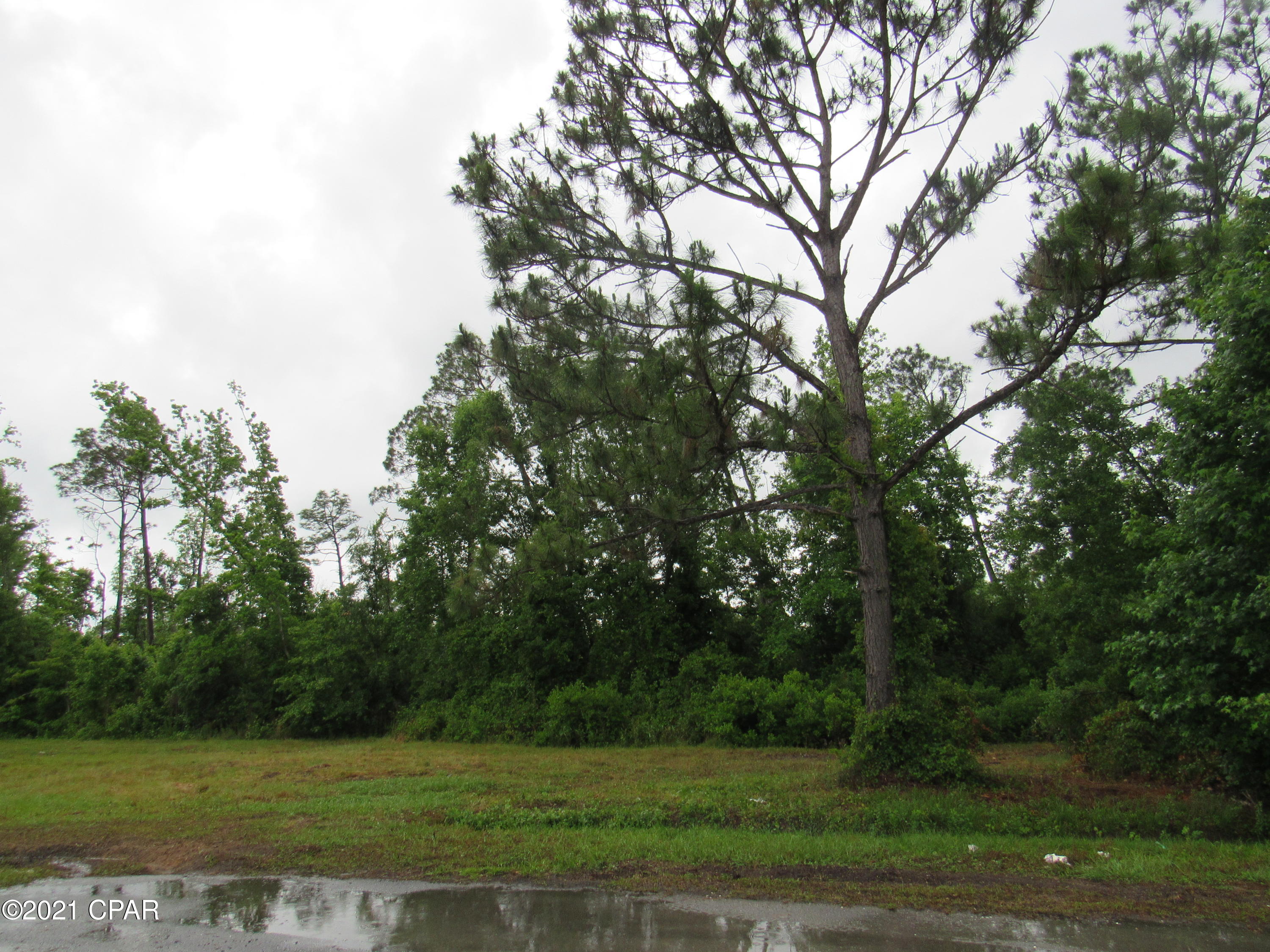 Basswood Estates - Land