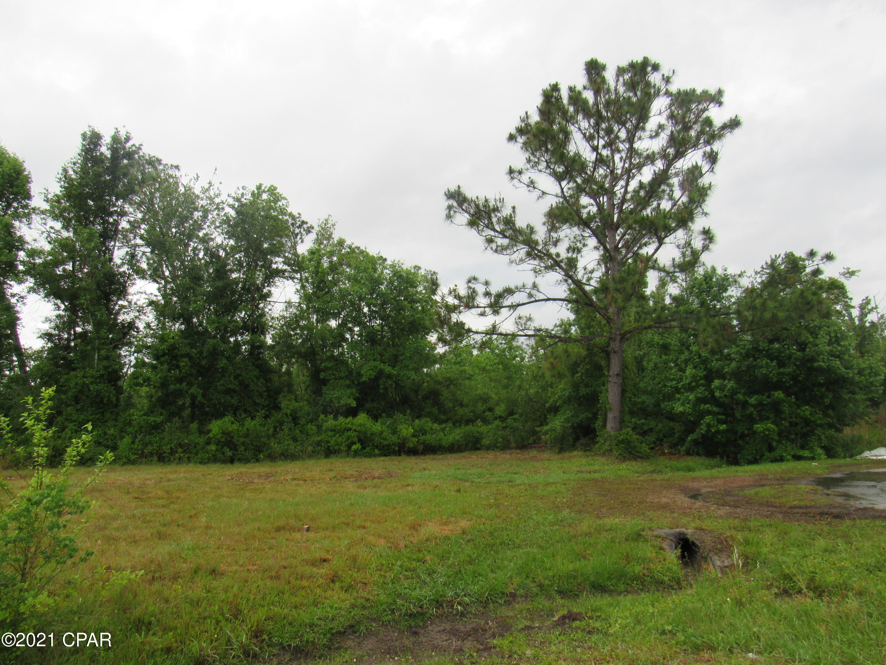 Basswood Estates - Land