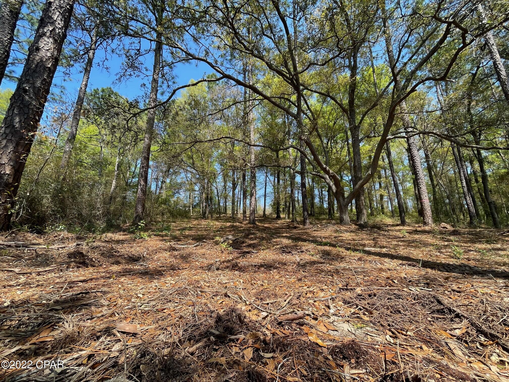 No Named Subdivision - Land