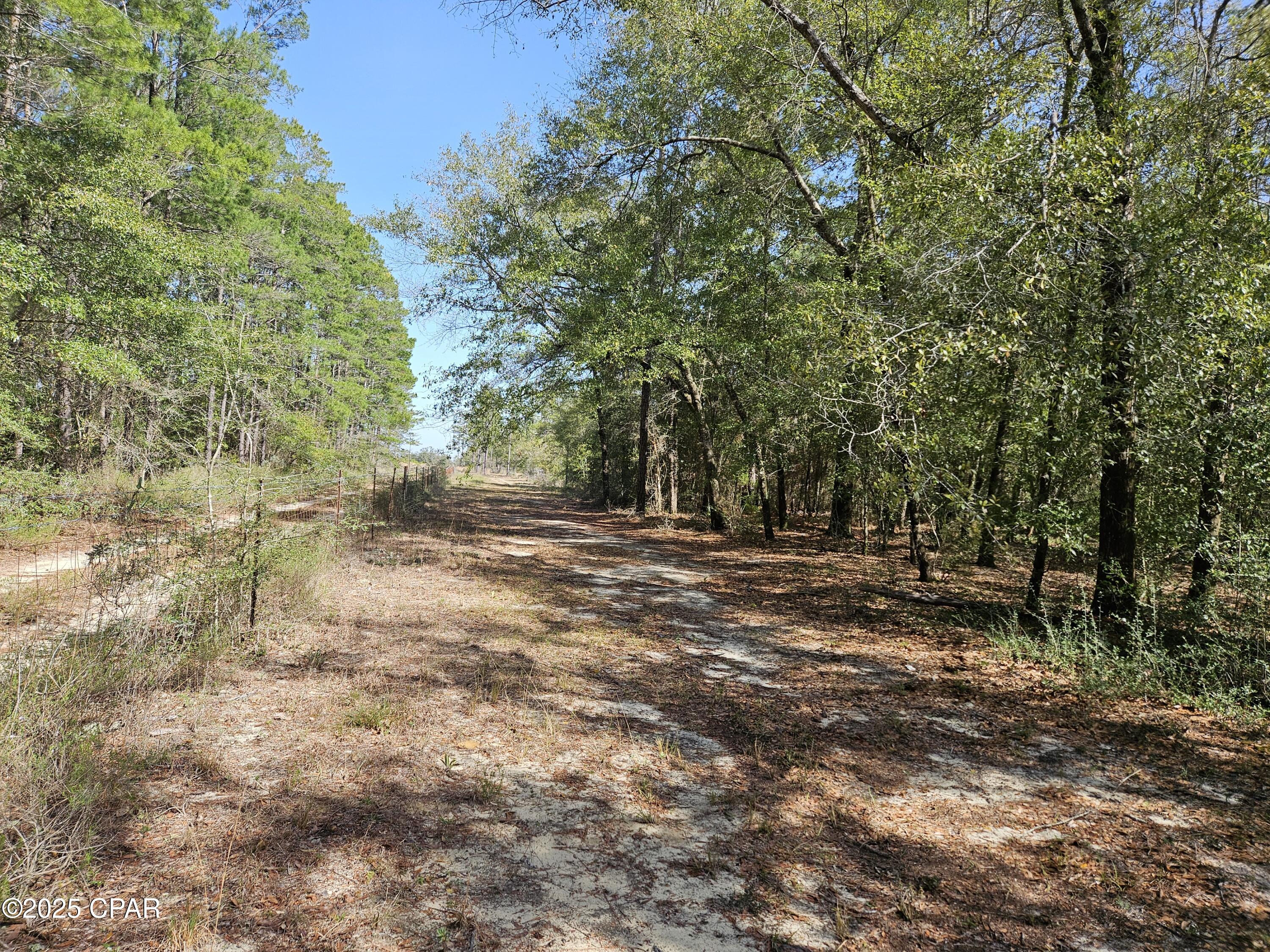 Leisure Lakes 1st Add - Land