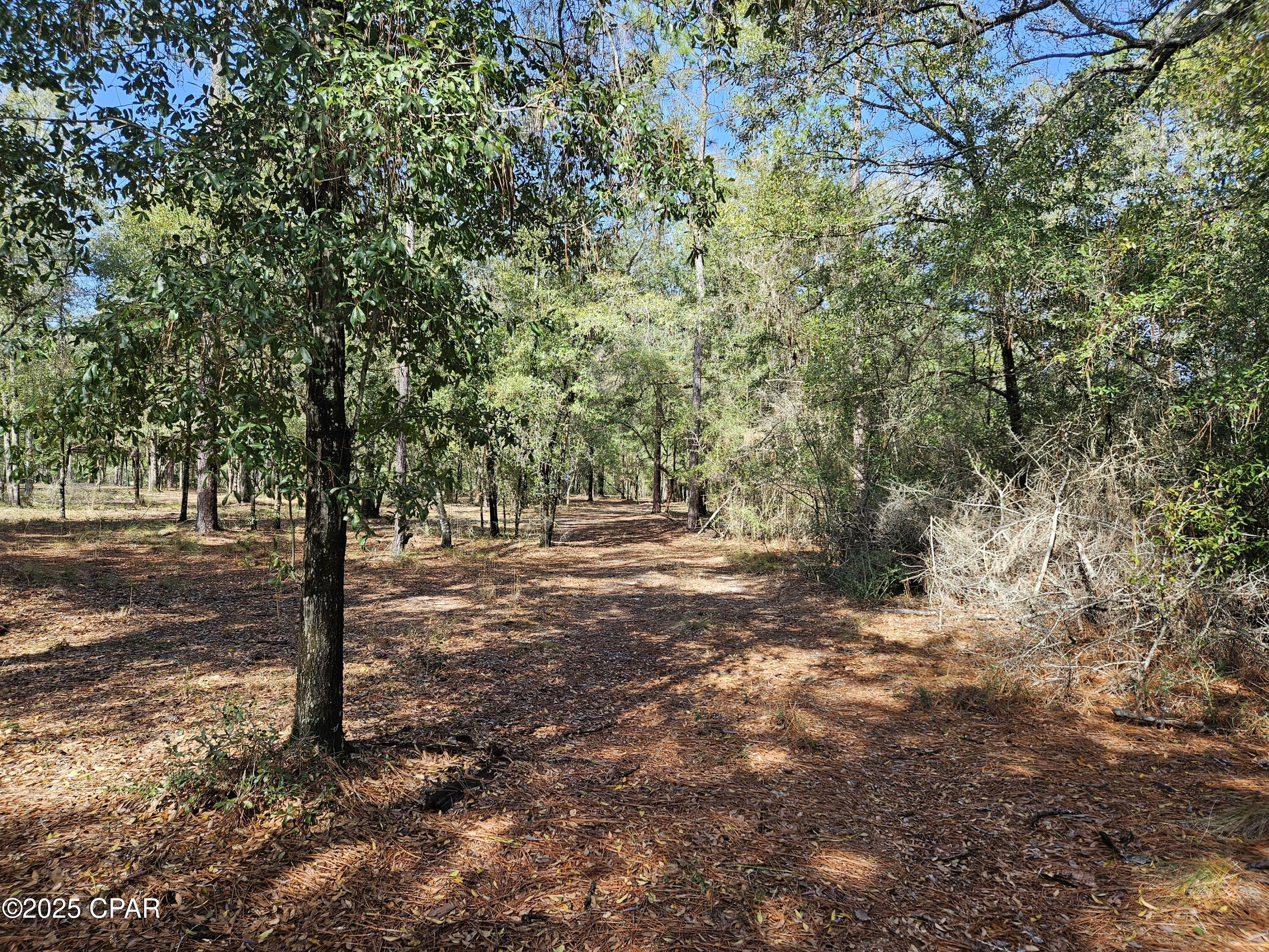 Leisure Lakes 1st Add - Land