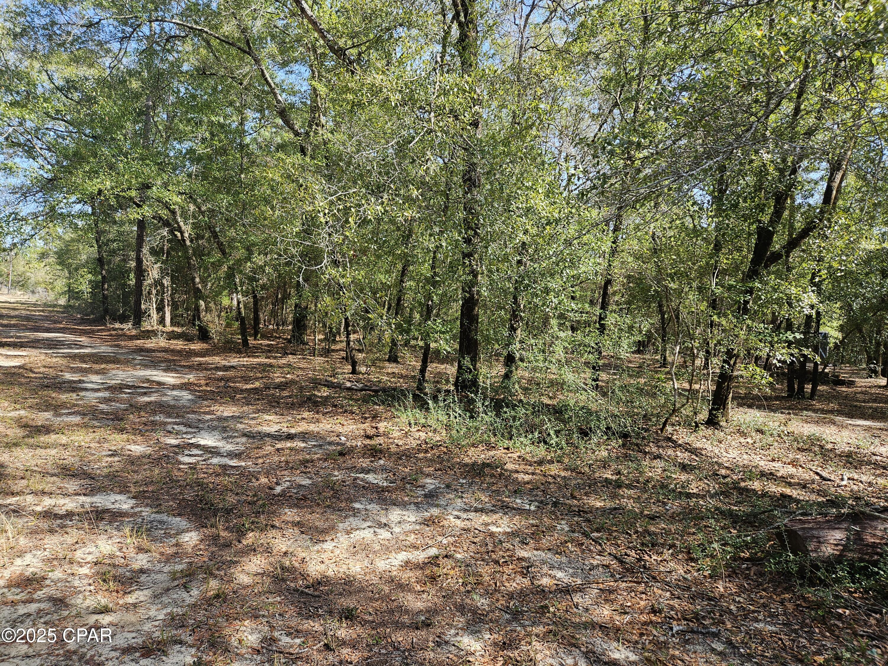 Leisure Lakes 1st Add - Land