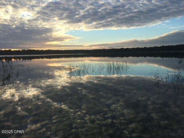 Leisure Lakes 1st Add - Land