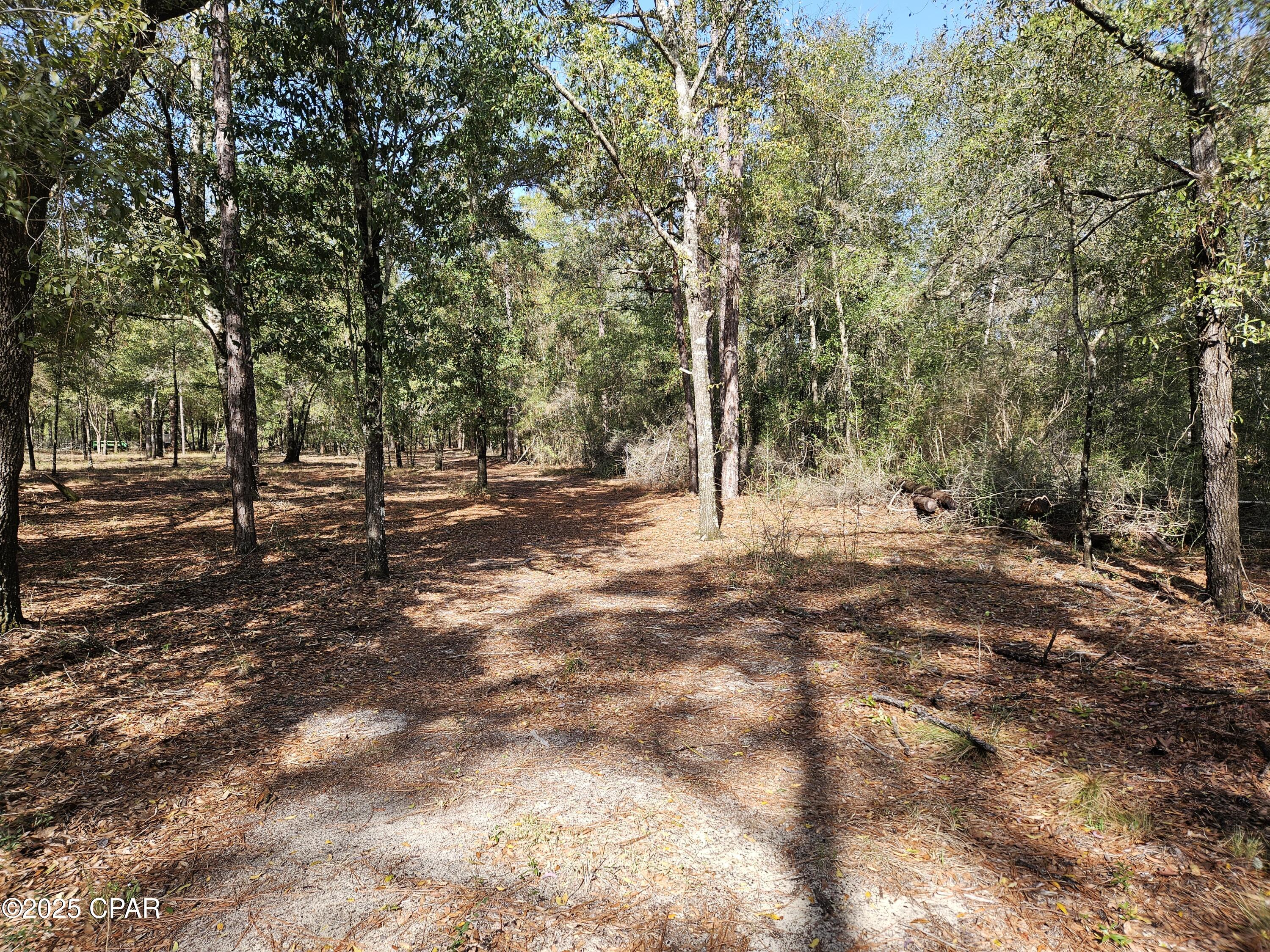 Leisure Lakes 1st Add - Land