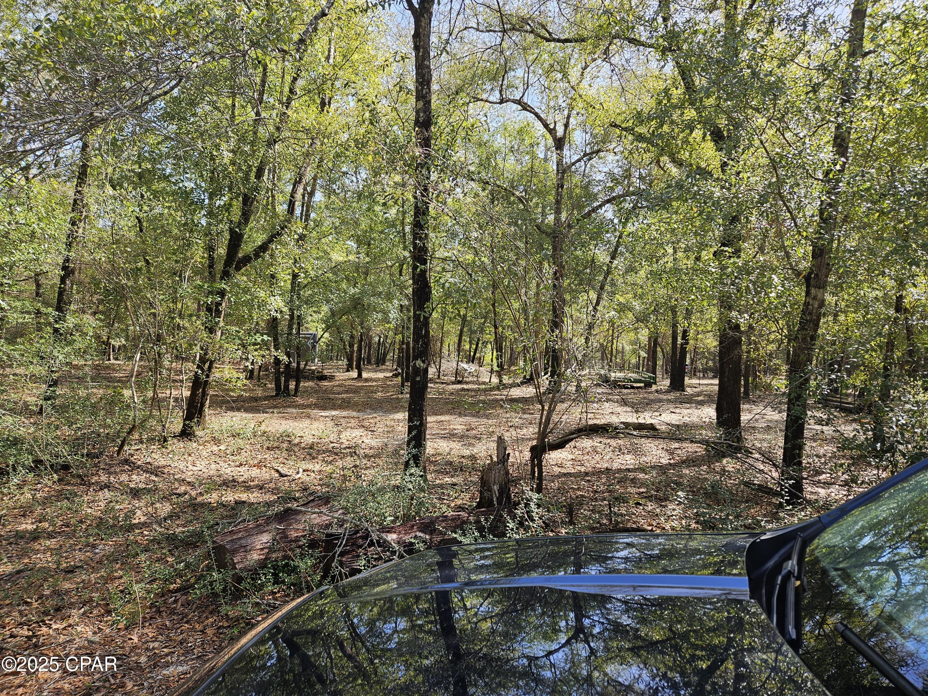 Leisure Lakes 1st Add - Land