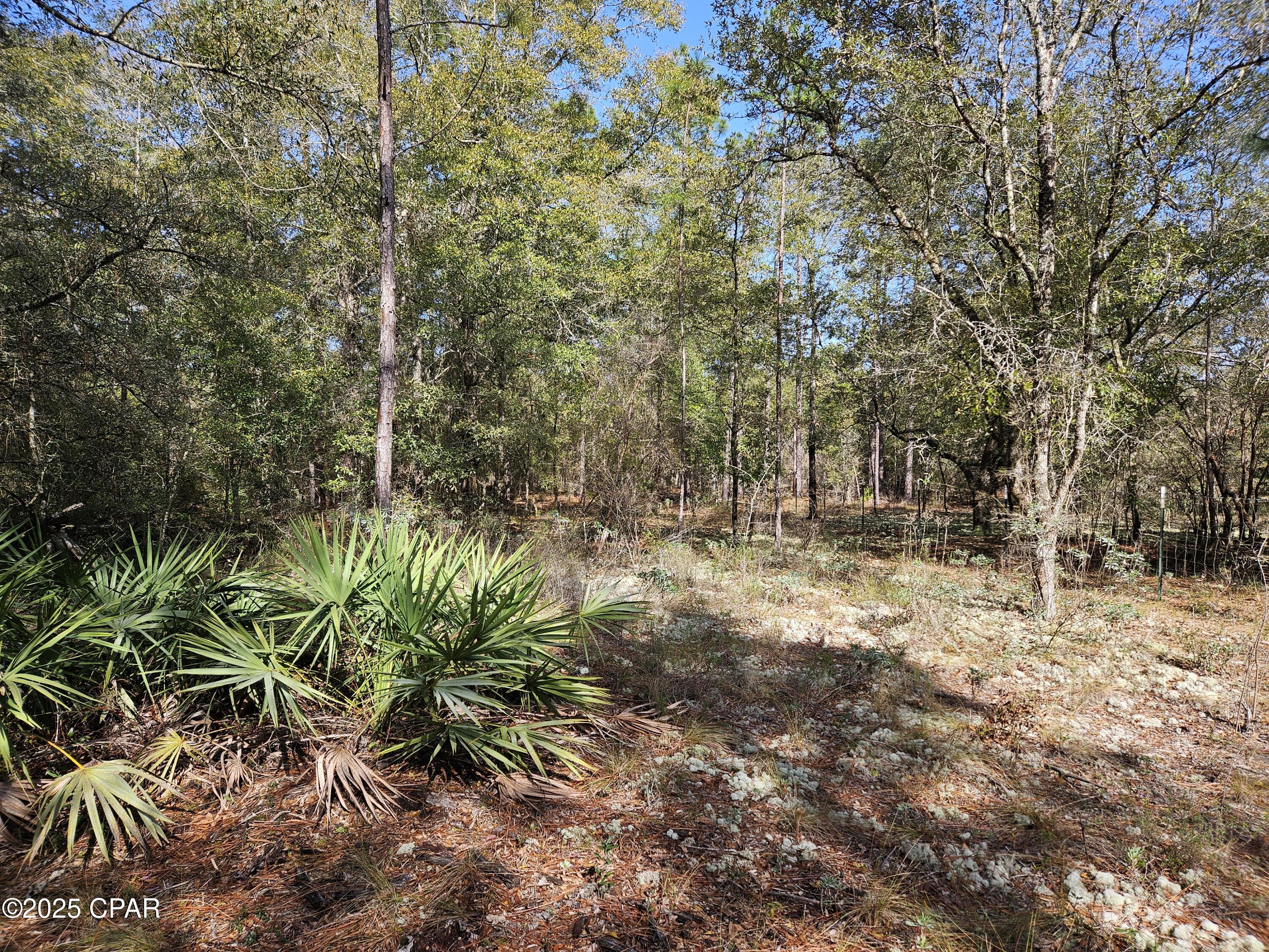 Leisure Lakes 1st Add - Land