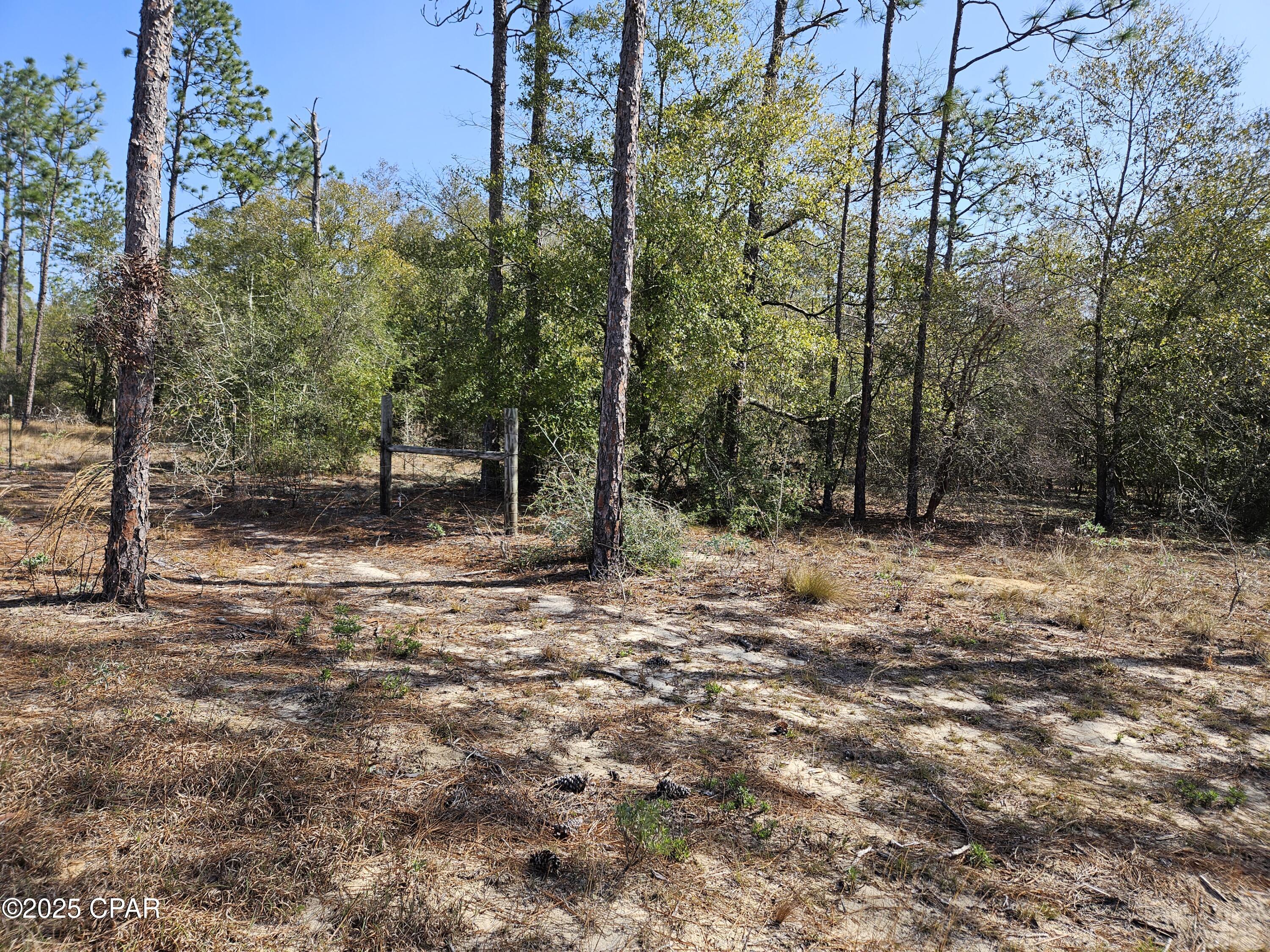 Leisure Lakes 1st Add - Land