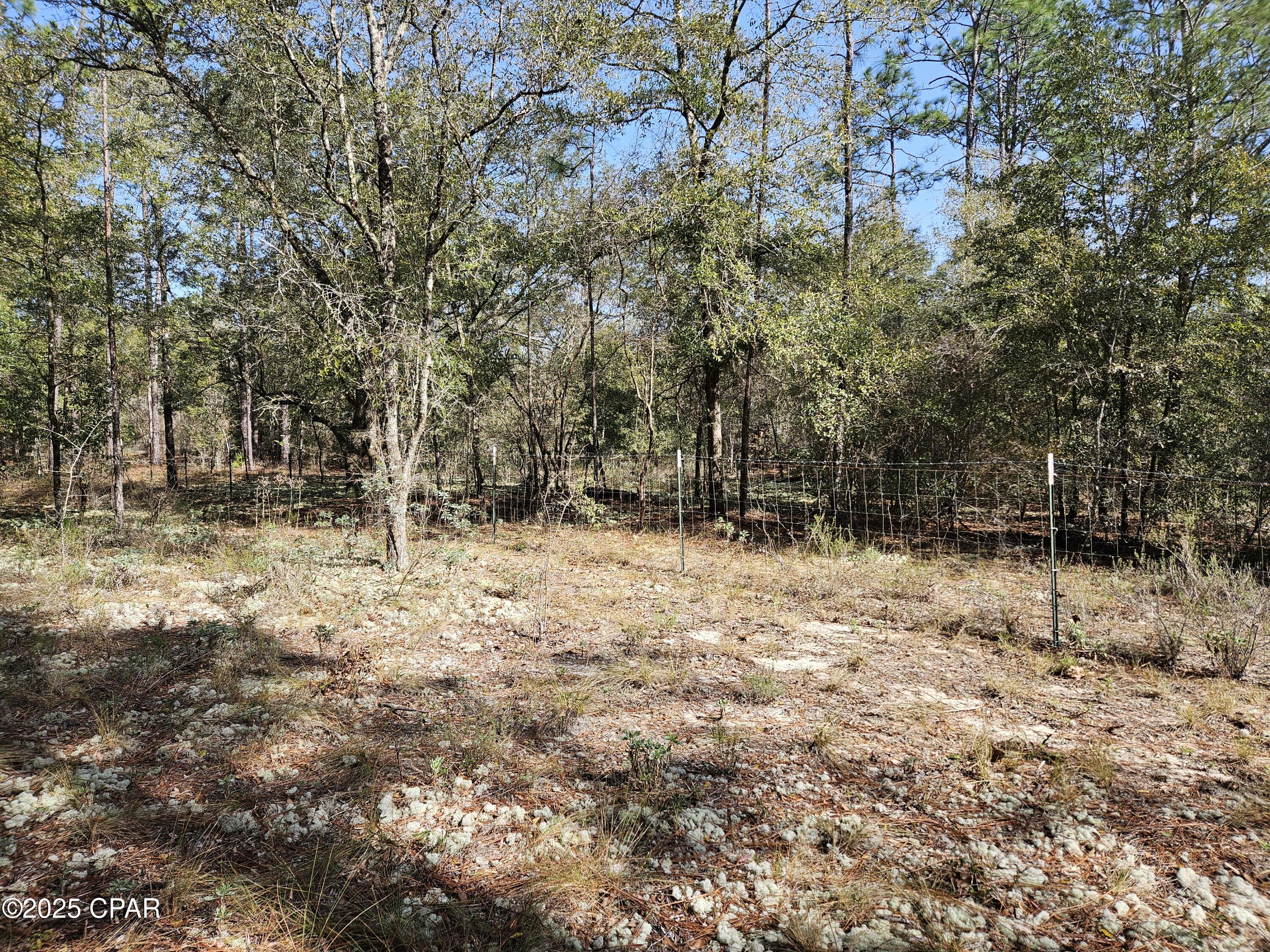 Leisure Lakes 1st Add - Land