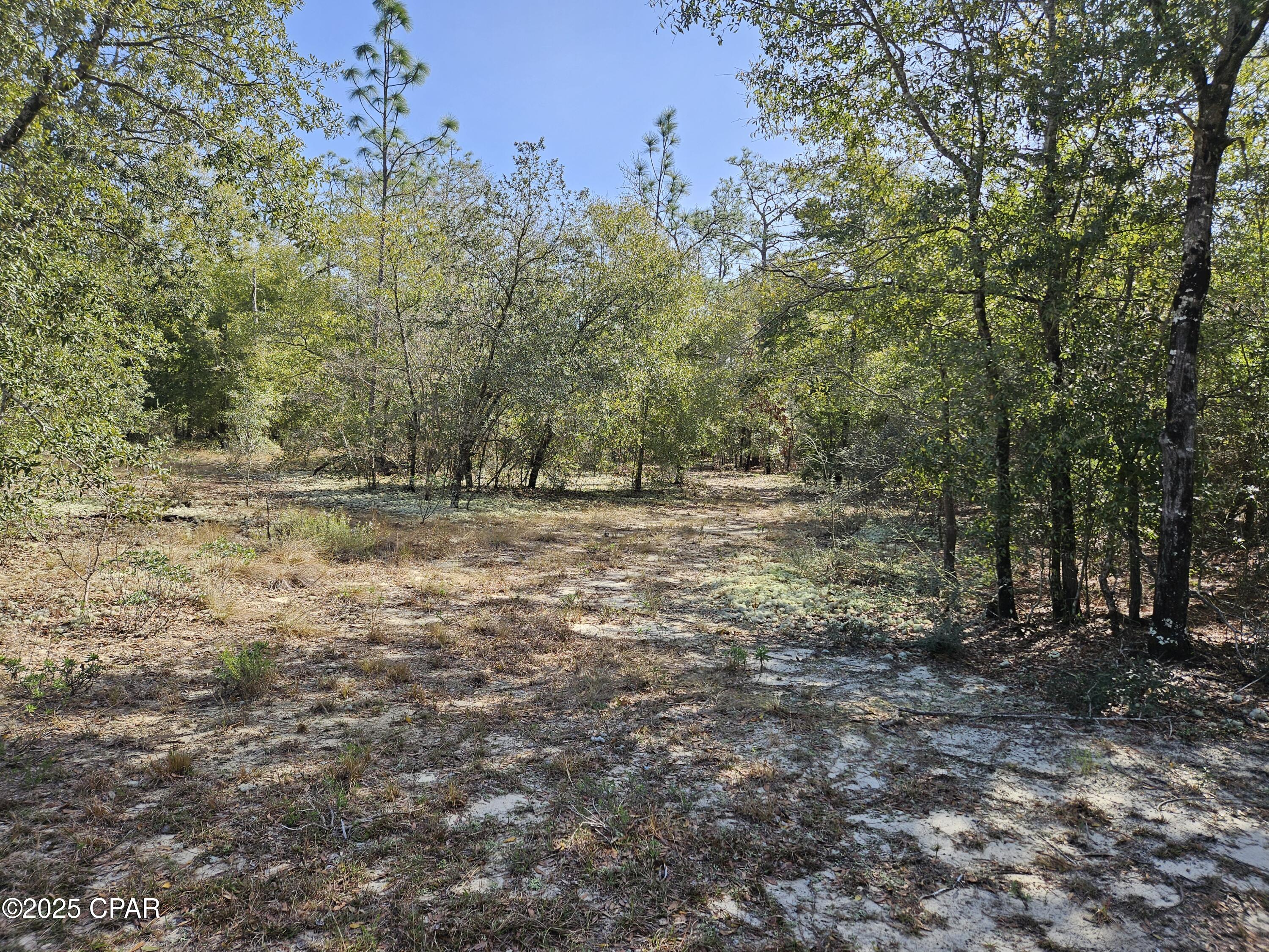 Leisure Lakes 1st Add - Land