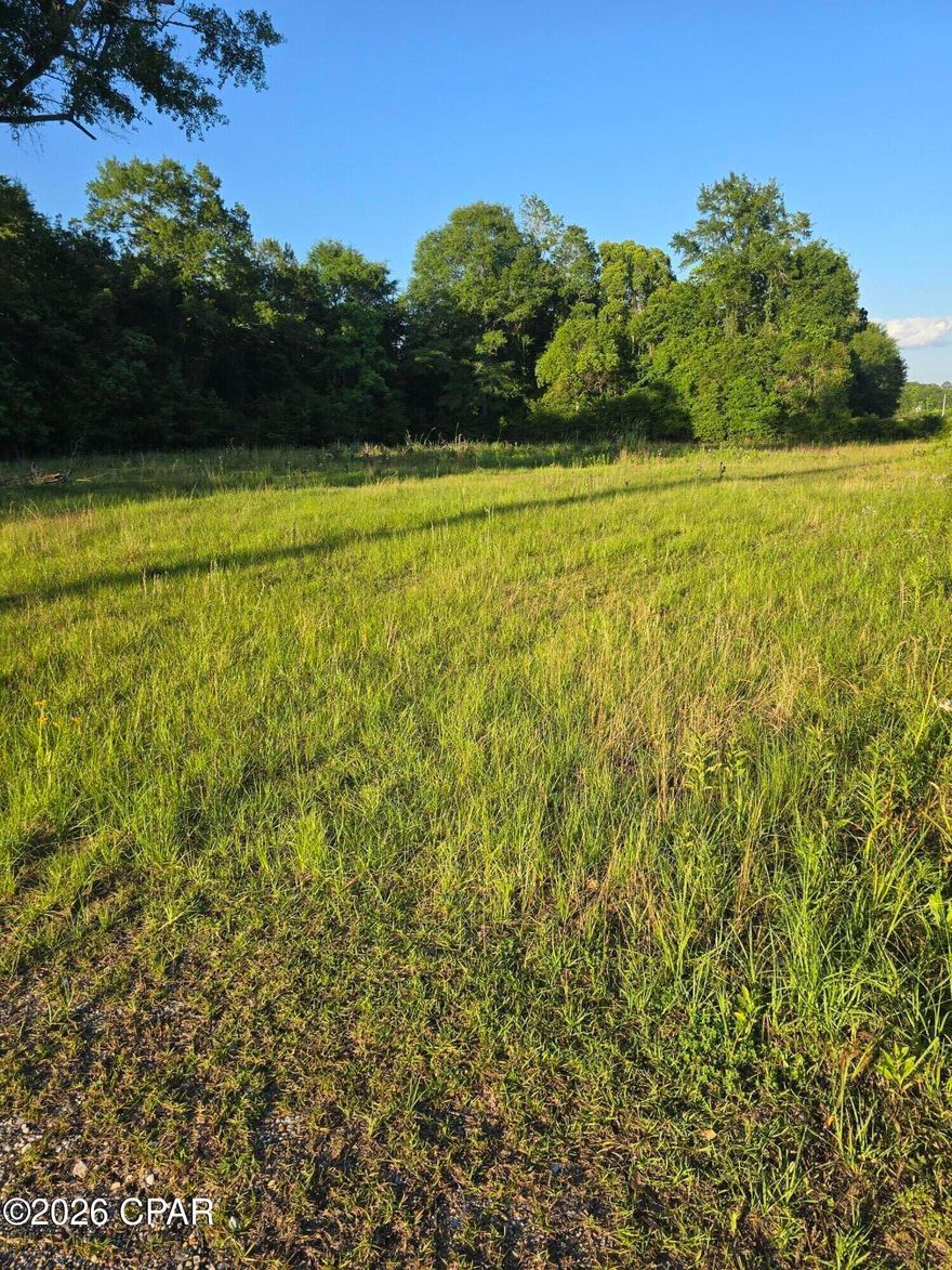 Escape the hustle and build your dream in this peaceful, ready-to-go slice of Florida living. This beautiful 0.75-acre cleared lot sits right in the heart of Bonifay, offering the perfect blend of small-town convenience and serene country charm. City water is already available, making it easy to break ground on your new home. The lot is flat, open, and ready--ideal for a custom build surrounded by plenty of room for a spacious yard, garden, or workshop. Enjoy the quiet, friendly atmosphere of Bonifay while still having easy access to local amenities, dining, and everyday conveniences. And when it's time to unwind, you're just 50 minutes from Panama City Beach--home of those world-famous sugar-white sands and emerald-green waters that consistently rank among the most beautiful beaches on the planet. Whether you're looking for a primary residence, a weekend getaway, or a smart investment, this property delivers space, location, and lifestyle in one welcoming package. Bonifay living at its best--come make it yours!