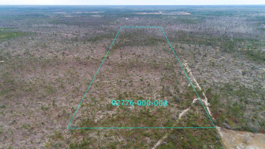 ACCEPTING BACK UP OFFERS 

20 acres of  undeveloped land in peaceful Fountain, FL.