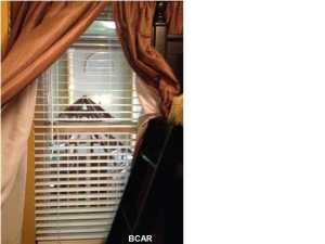 Shores Of Panama Phase I - Residential