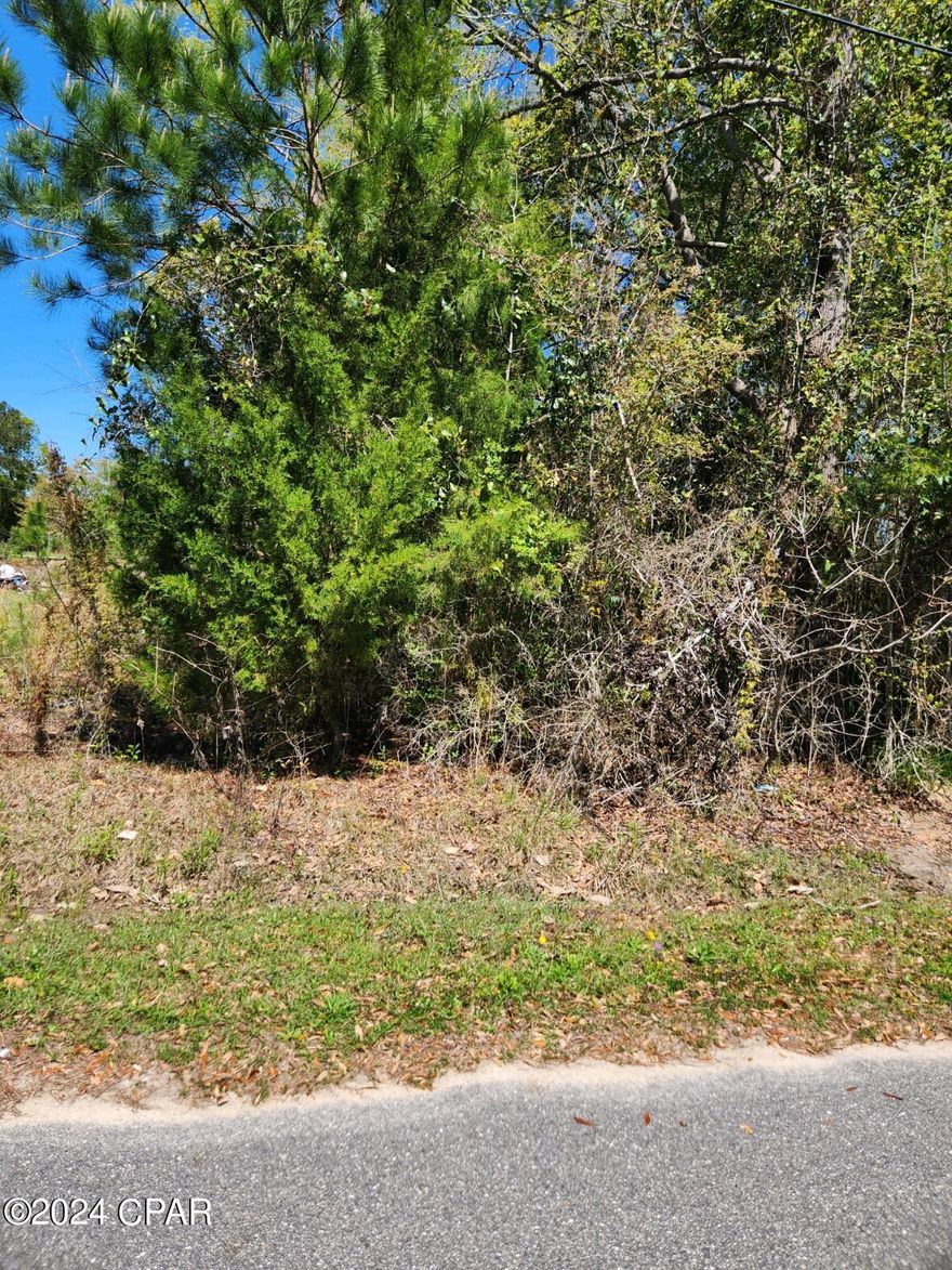 Nice, wooded lot in city of Bristol on paved street very close to both elementary and high school.  City water and sewer available.