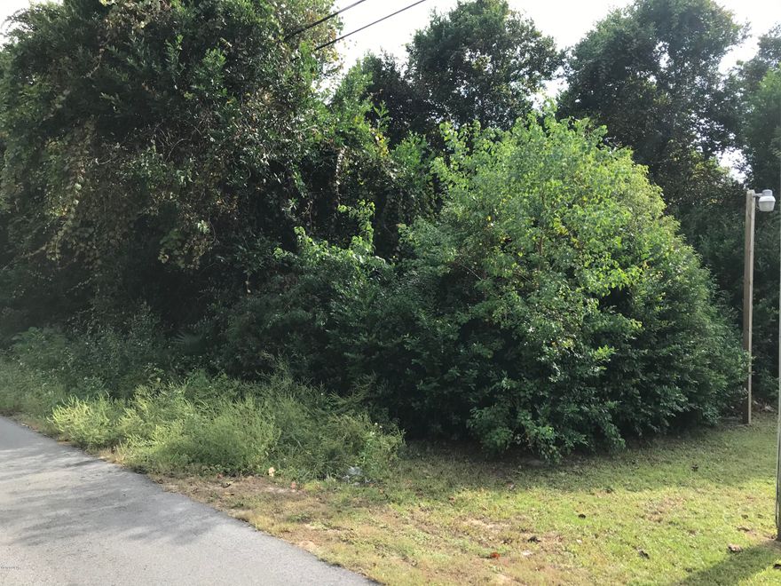 Imagine your beach house is only 5 minutes from the fluffy whitesands of the Gulf, in the center of Reserved Laguna Beach. The waves of the Gulf can be seen fro the front road of this lot. Today is a rarity finding a 50 x 150 lot in Laguna Beach: there are 3 of them in a row here. Perfect for families and friends who want to build next to eachother or a perfect assemblege of land for a developer.