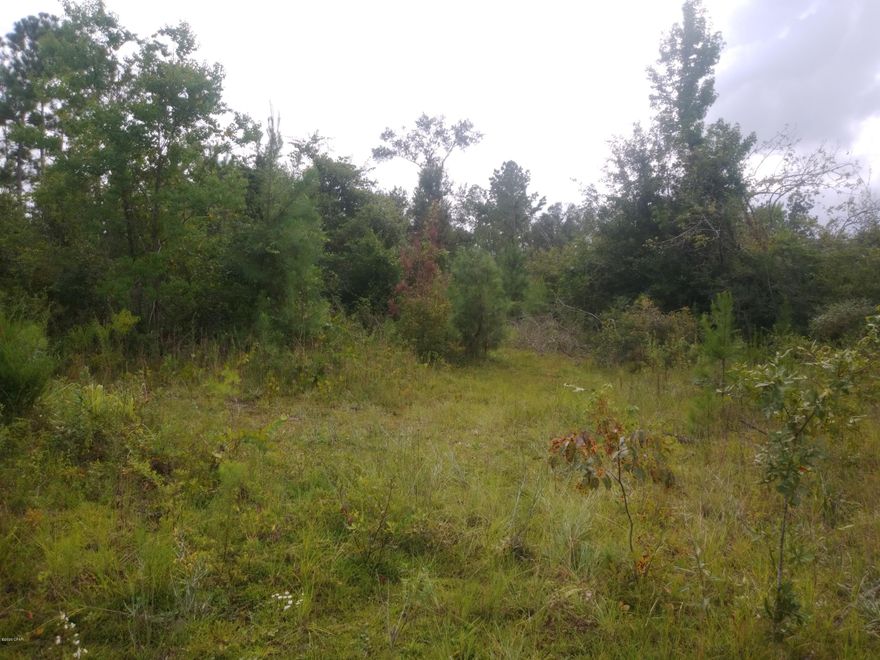 Great location between Cottondale and Marianna! Old homestead with 2 septic tanks and a well.  Bring in 2 mobile homes or build your dream home on this beautiful property!