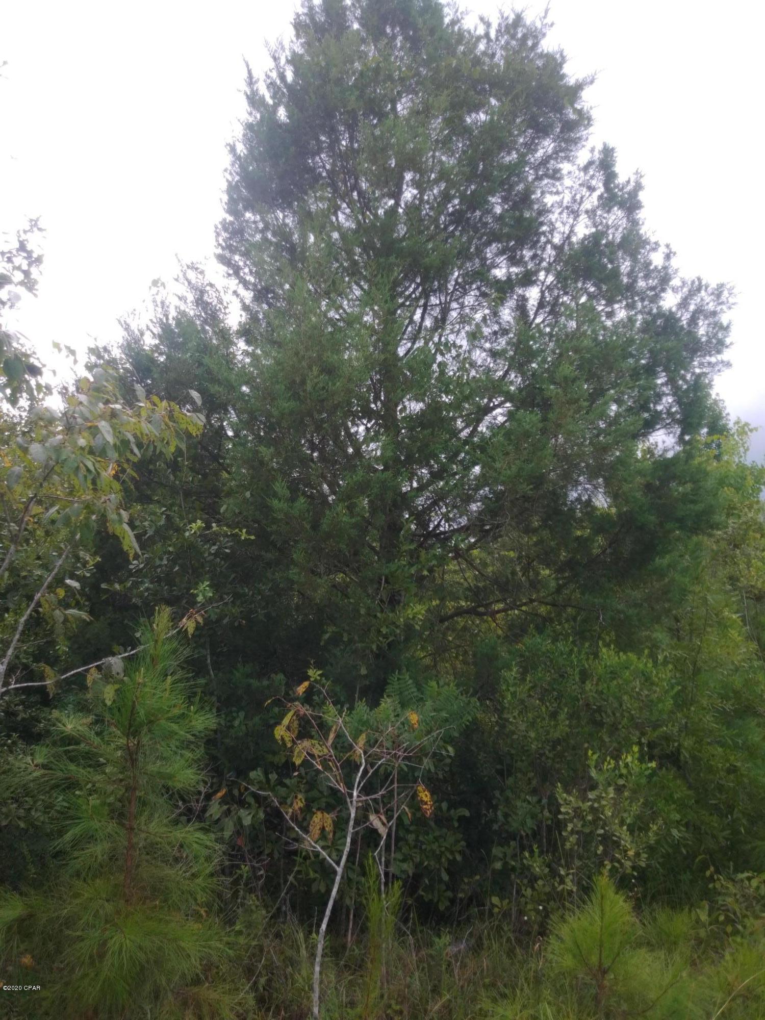 [No Recorded Subdiv] - Land