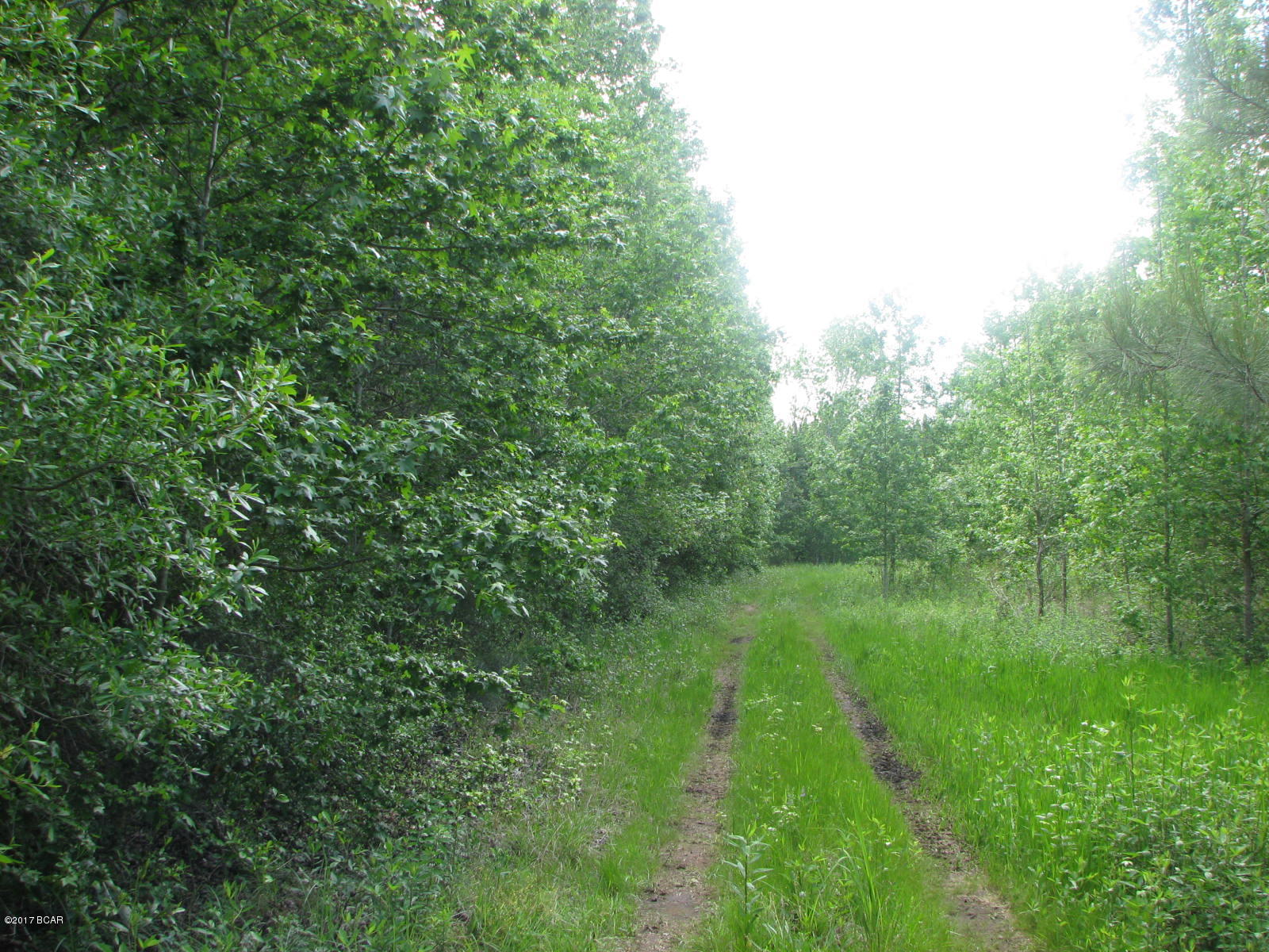 [No Recorded Subdiv] - Land