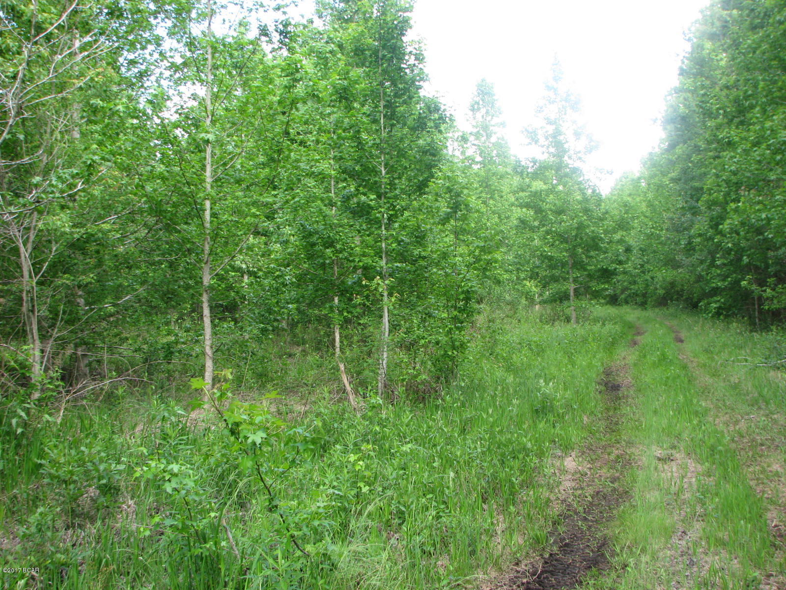 [No Recorded Subdiv] - Land