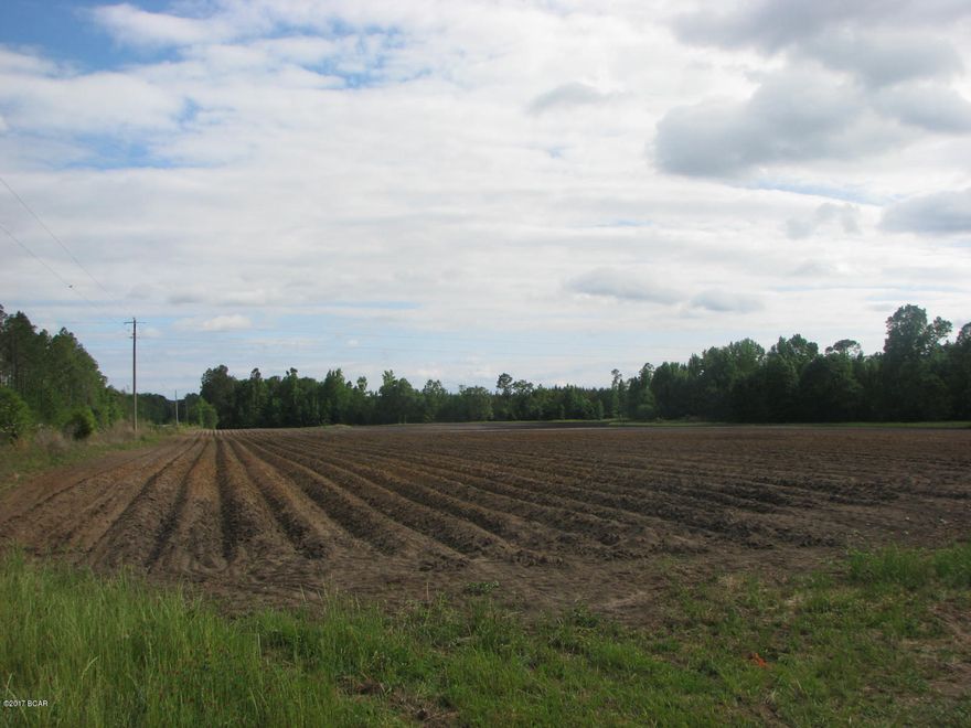 Very nice property that is currently being leased out for farming. This tract is convenient to town and interstate exchanges. It currently has a pole barn and old corral for cattle located on the property. There is a 1 acre pond located right in the middle. There is an abundance of deer, turkey, and other wild game in this area. It also has 1,322 feet of highway frontage.