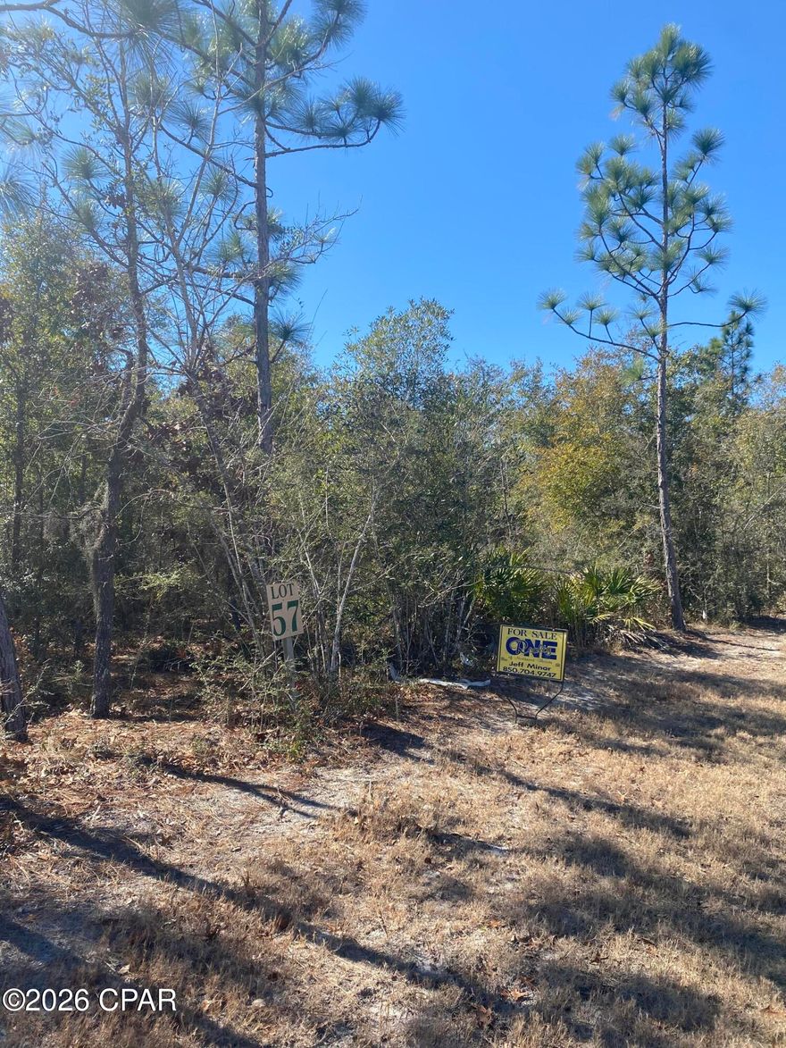 Welcome to the Prestigious ''CEDAR CREEK AT DEERPOINT'' PHIII LOT 57
Located in a quiet cul-de-sac. You will not be disappointed coming home to all the ''extras'' this place offers. Gated, clubhouse to have your gatherings, a large pool, bathhouse, and a nice playground for the kids.