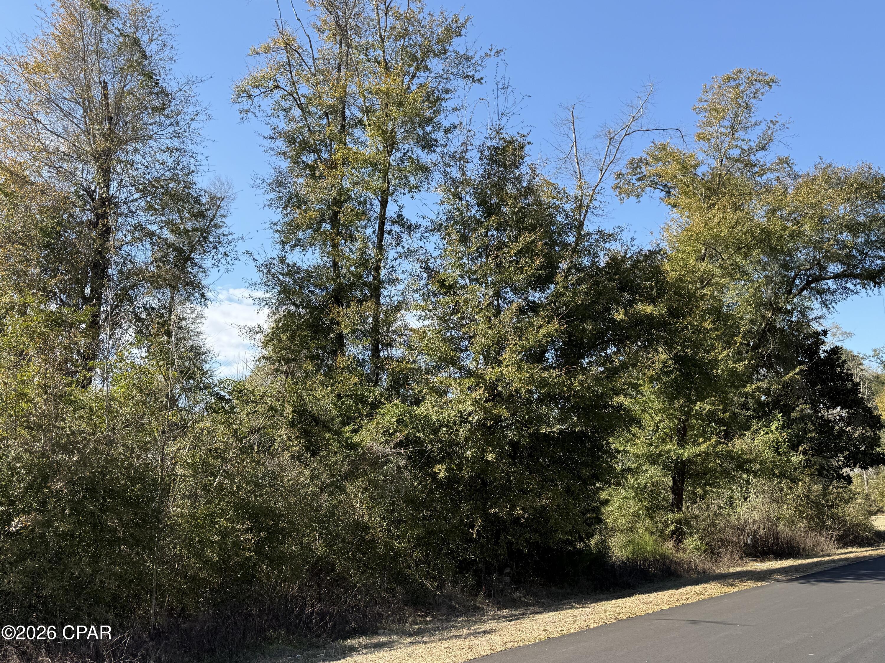 Indian Springs - Land