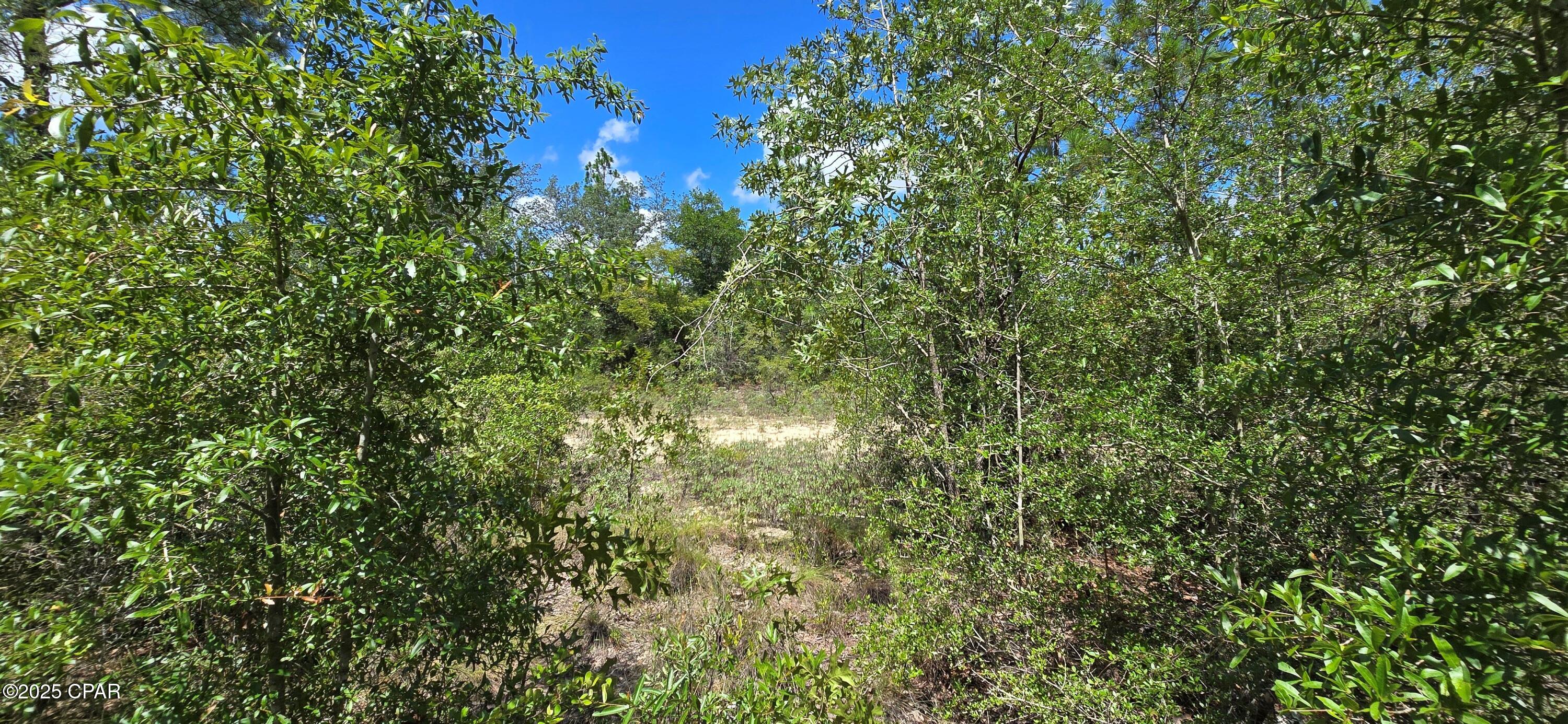 Sunny Hills Unit 12 - Land