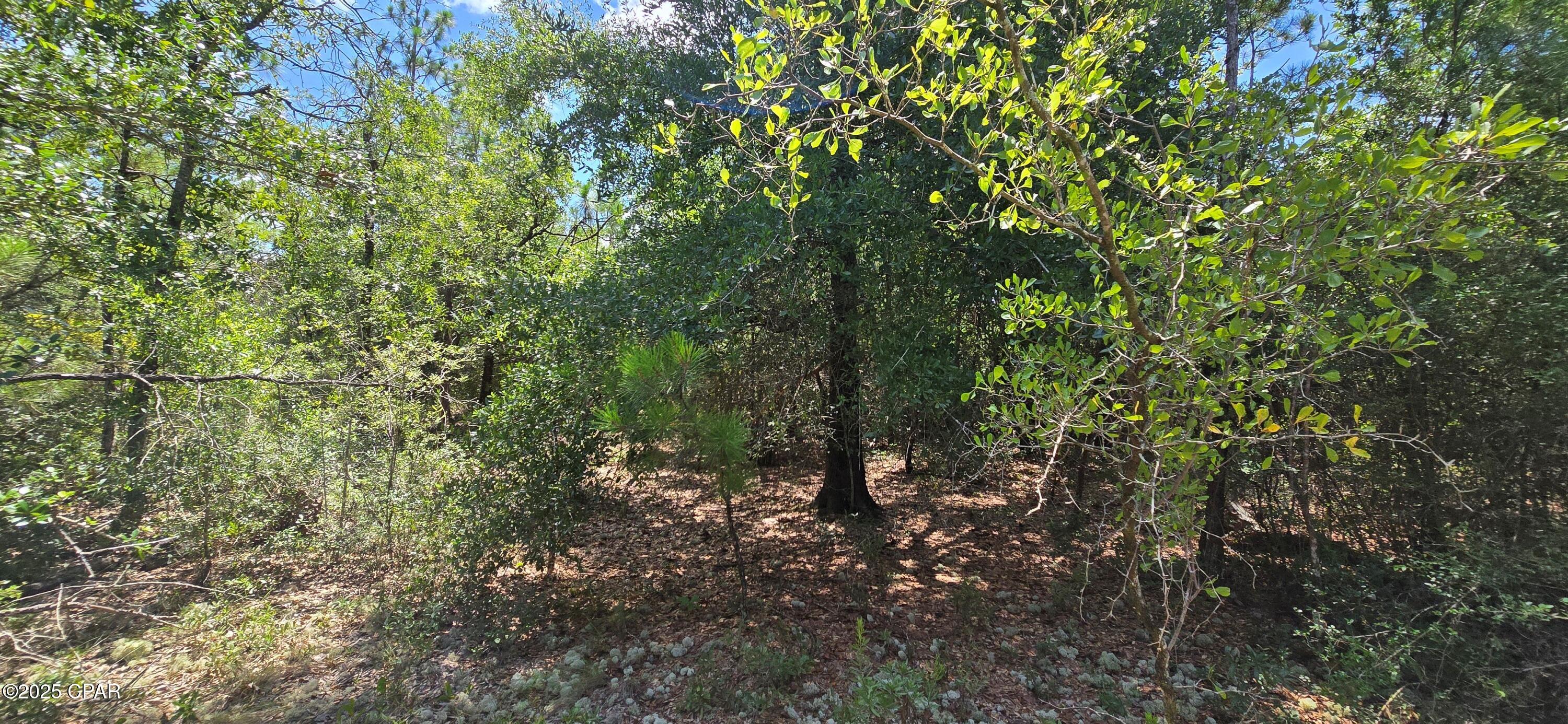 Sunny Hills Unit 12 - Land