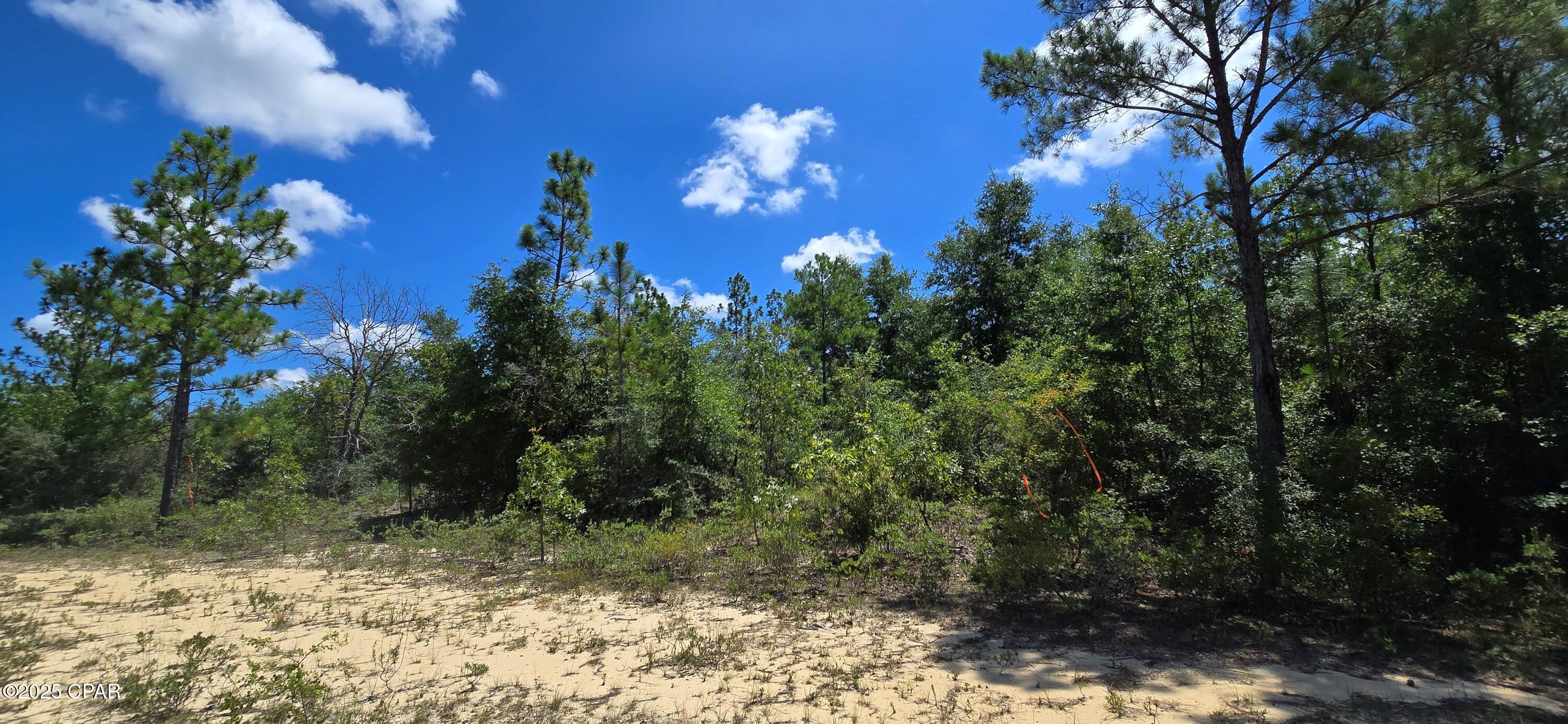 Sunny Hills Unit 12 - Land