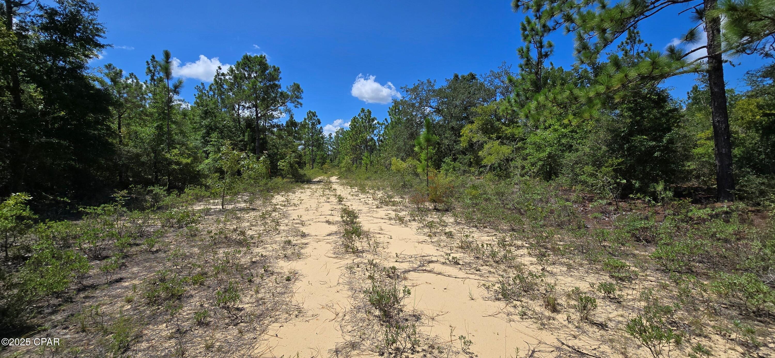 Sunny Hills Unit 12 - Land